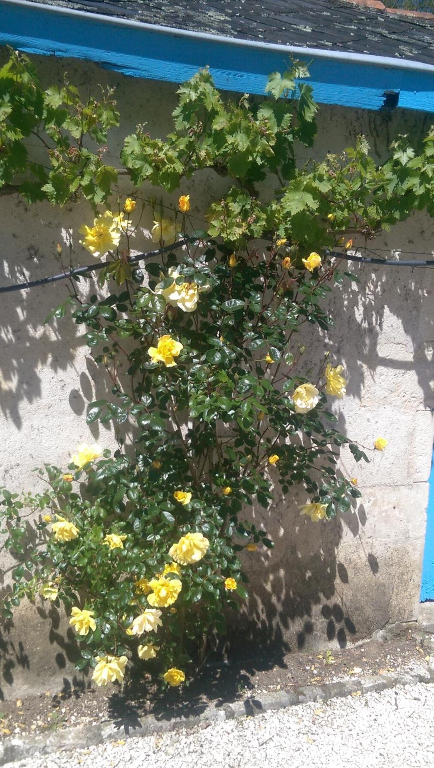 Photo 25