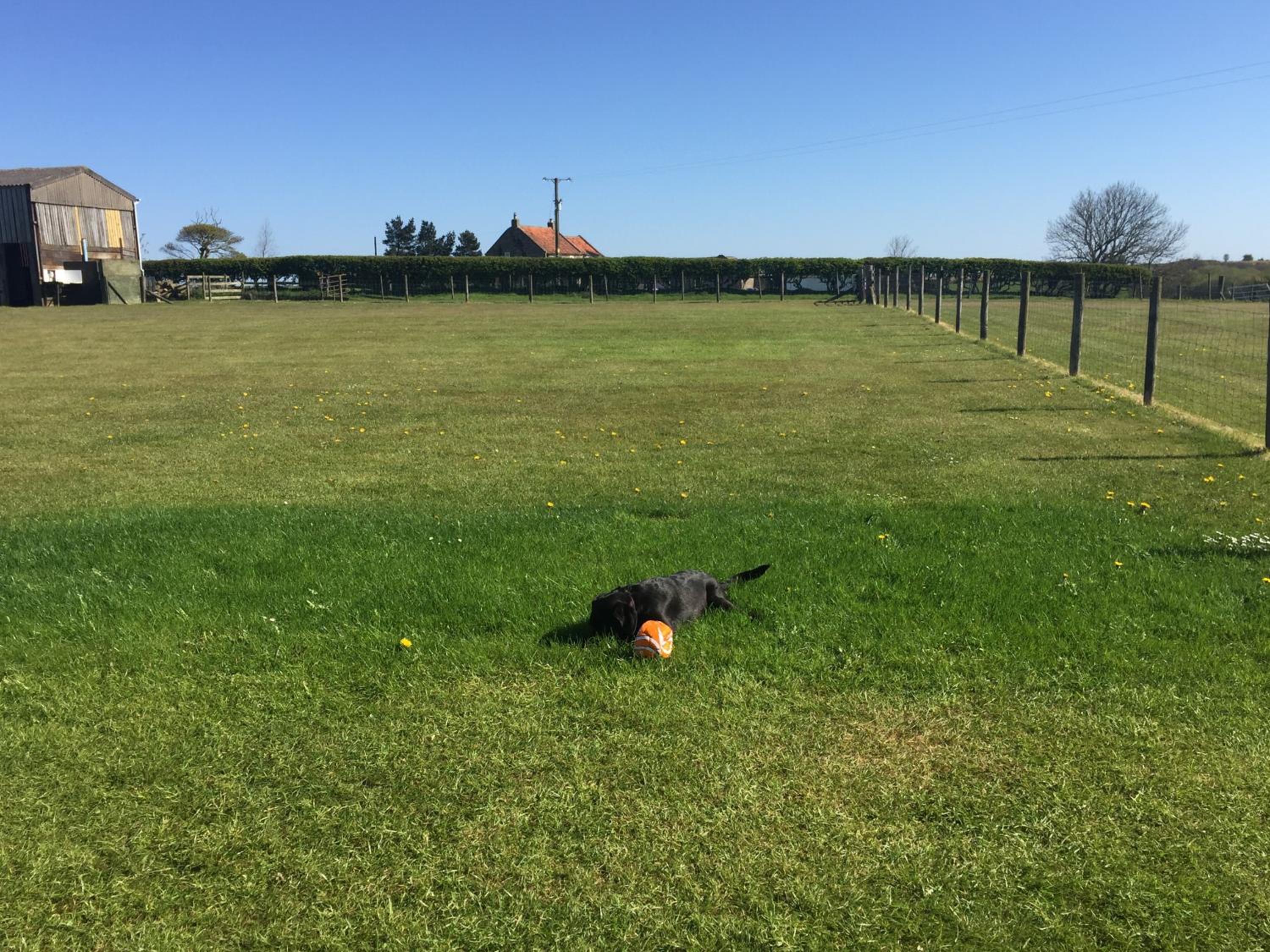 Folly Hall Farm