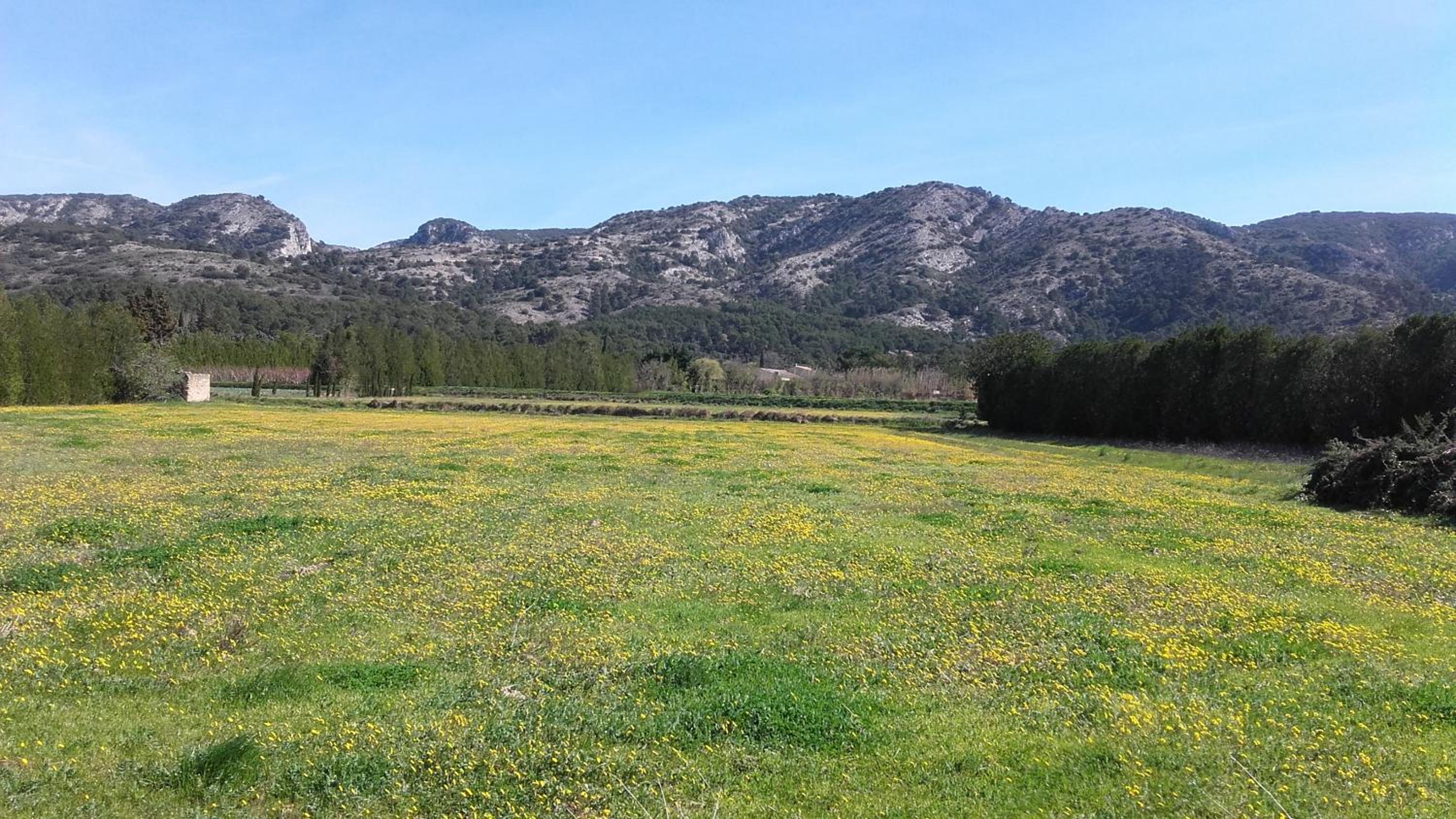Aubade en Luberon