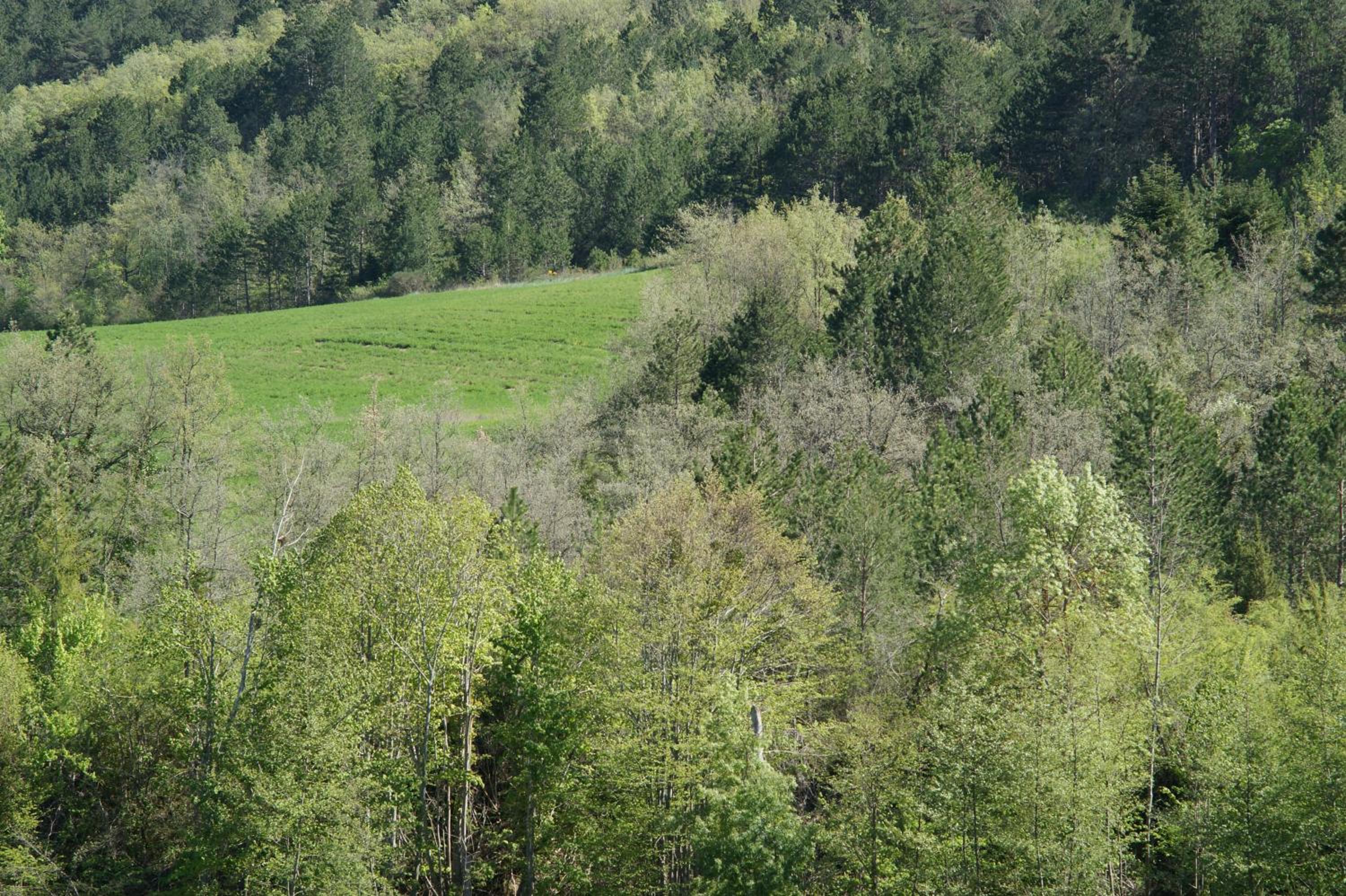 Domaine De Luzenac