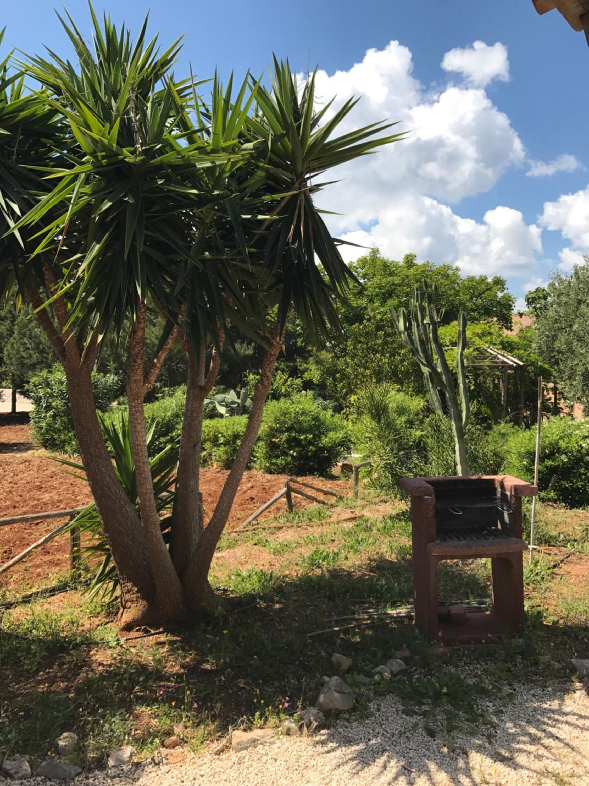 I Giardini Di San Vito, fotografia 3