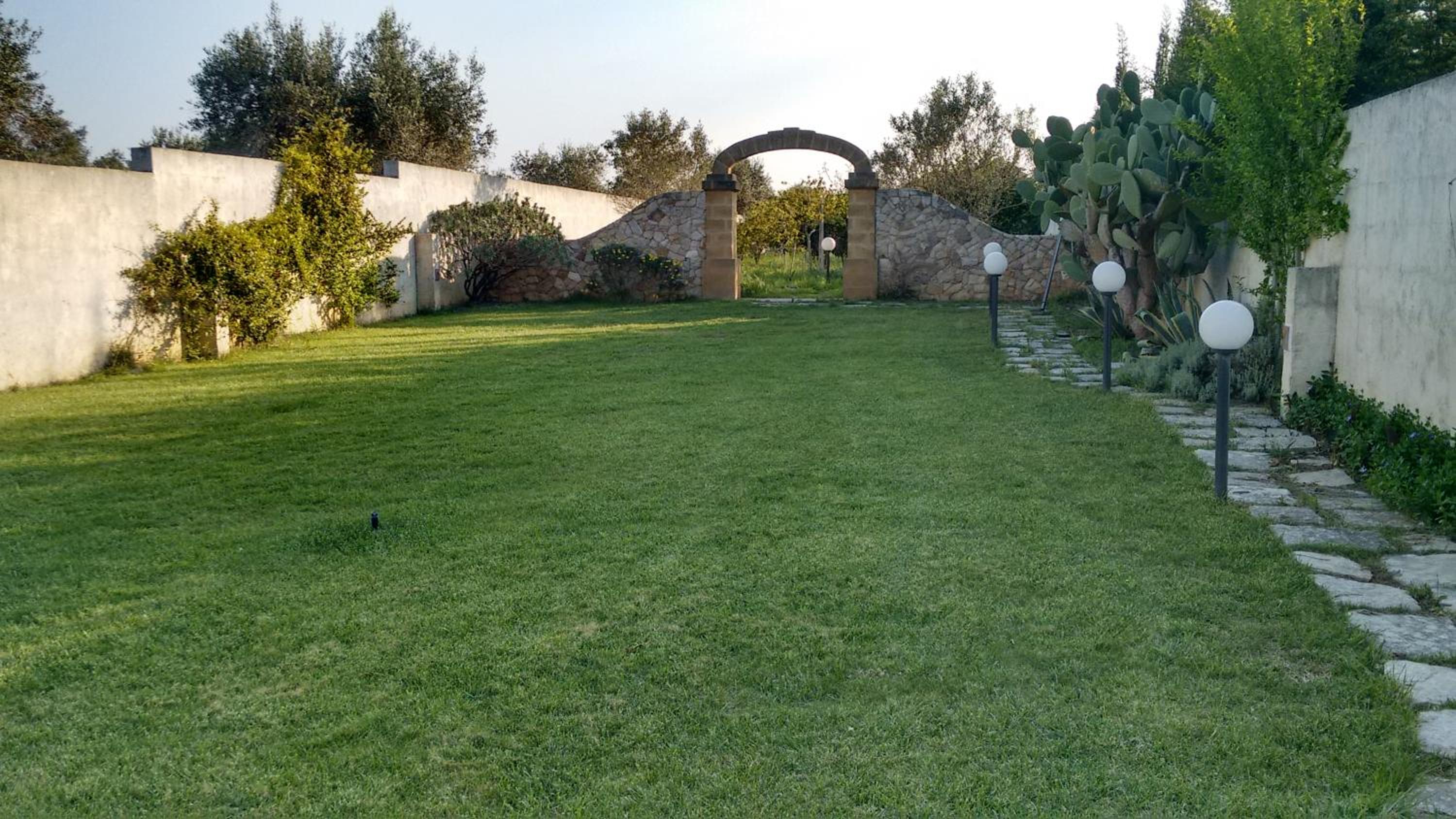 Photo 11