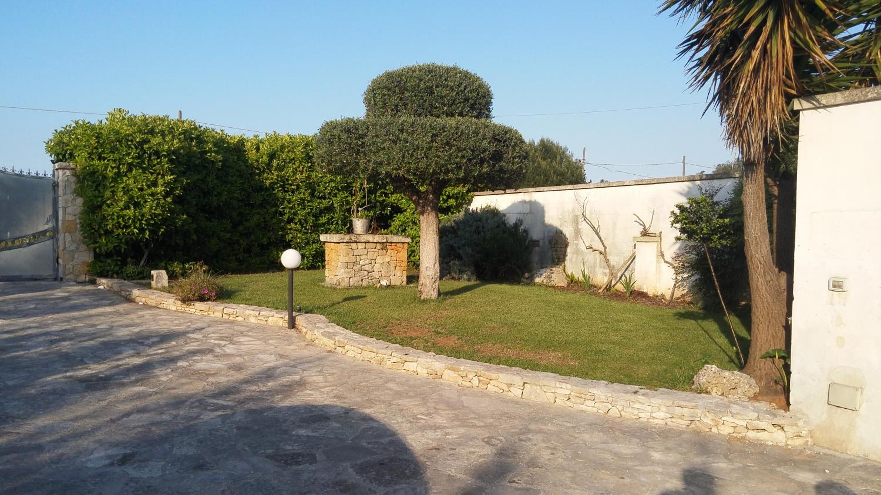 Photo 10