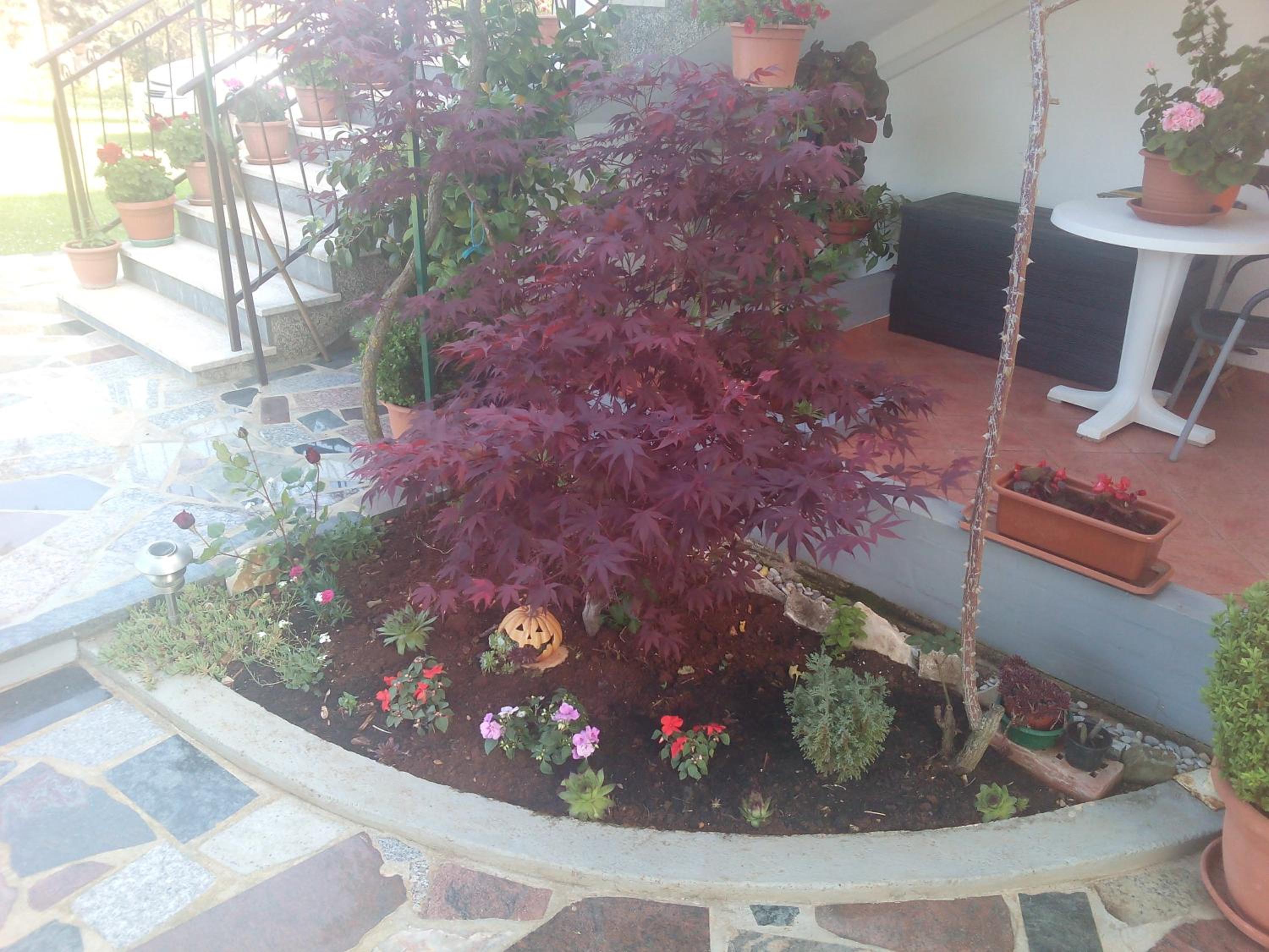 Apartment Gogo view 4