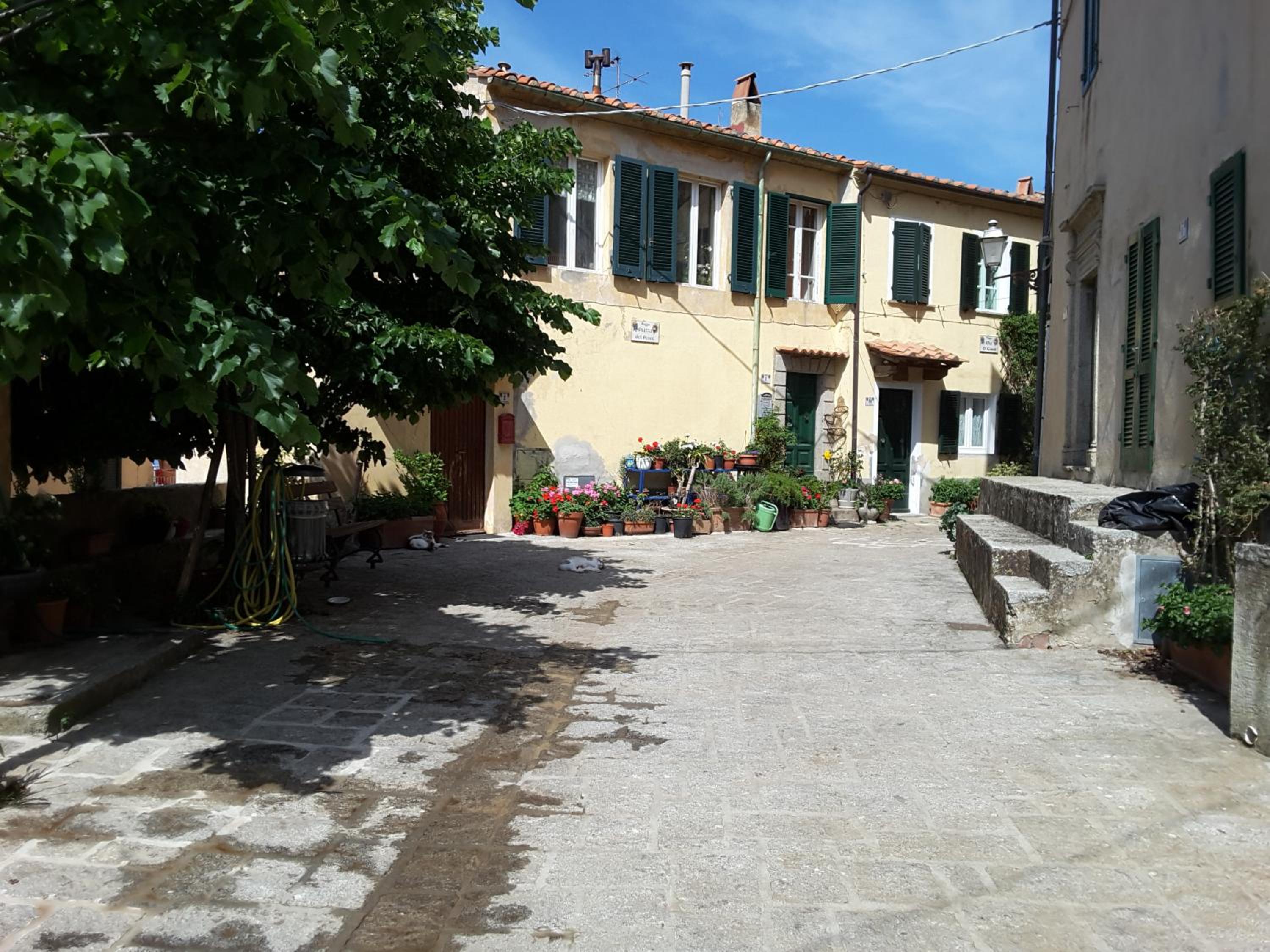 Photo 45