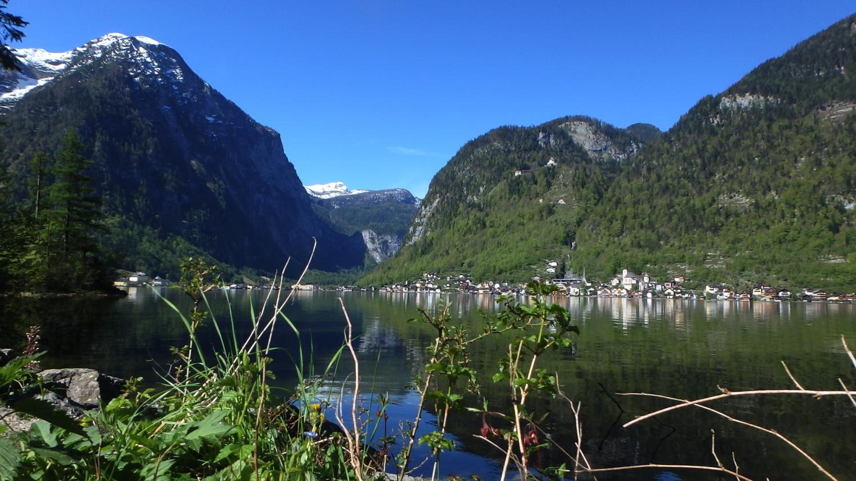Haus Alpenblick
