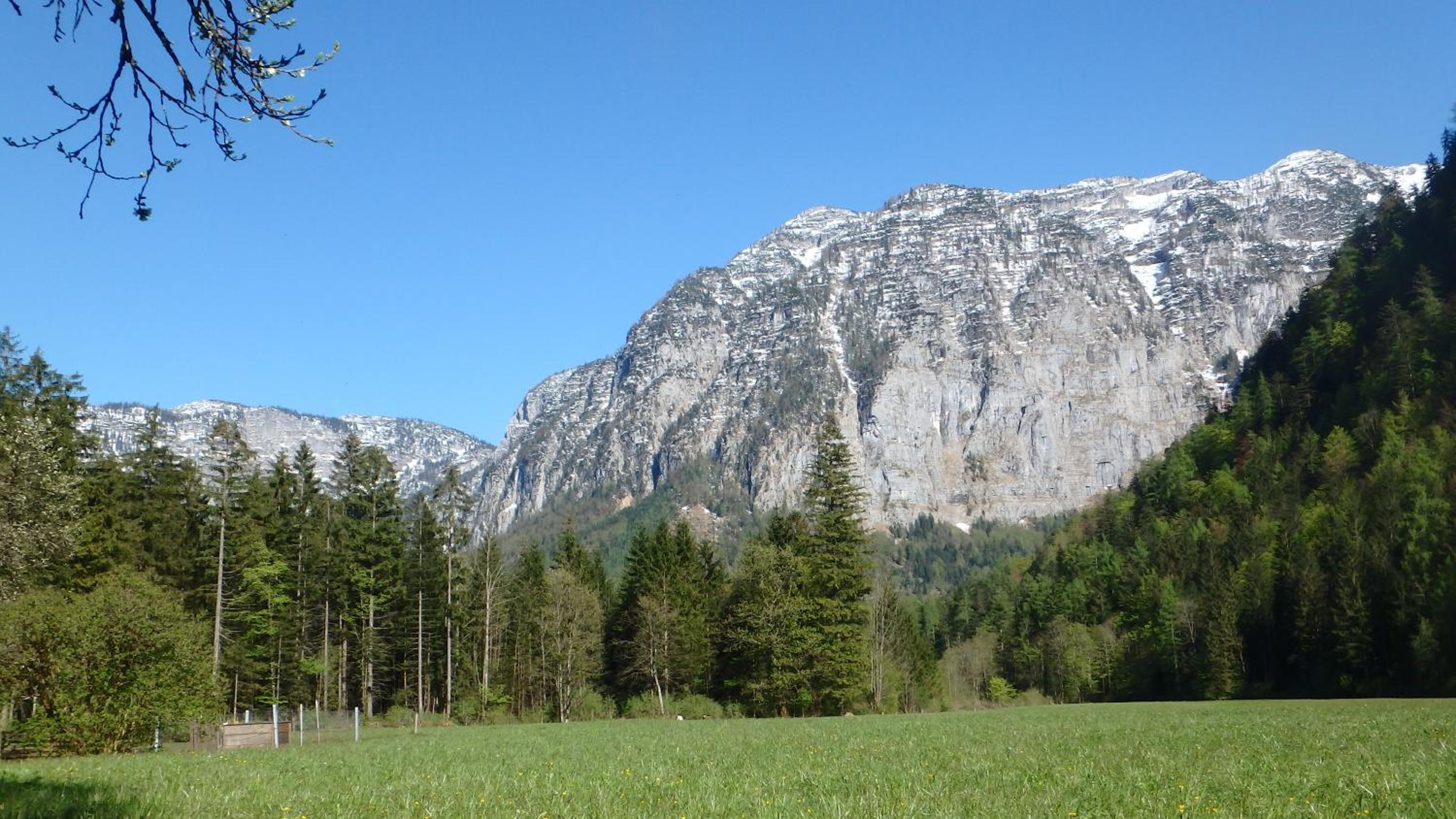 Haus Alpenblick
