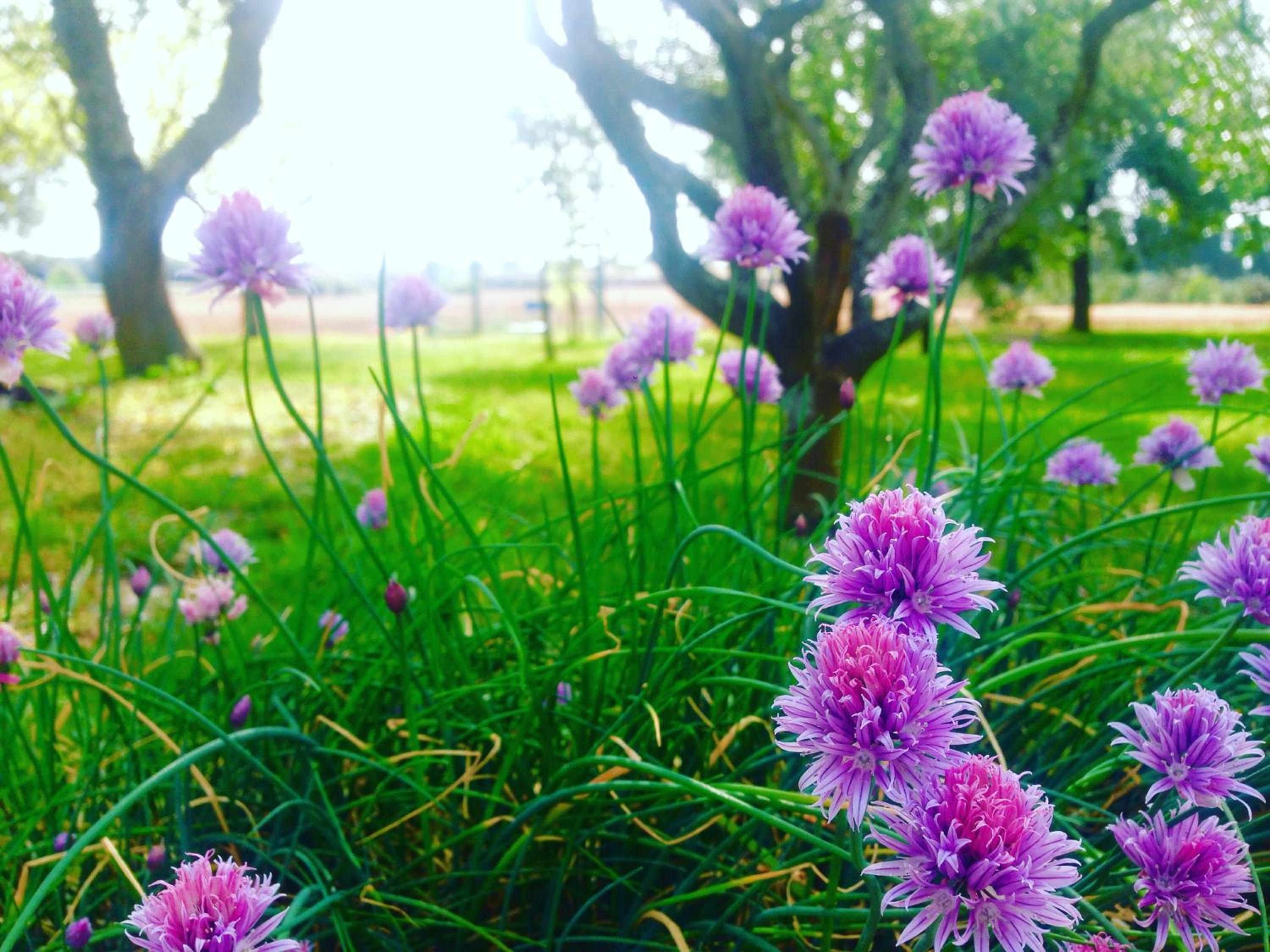 Agriturismo Terra Rossa