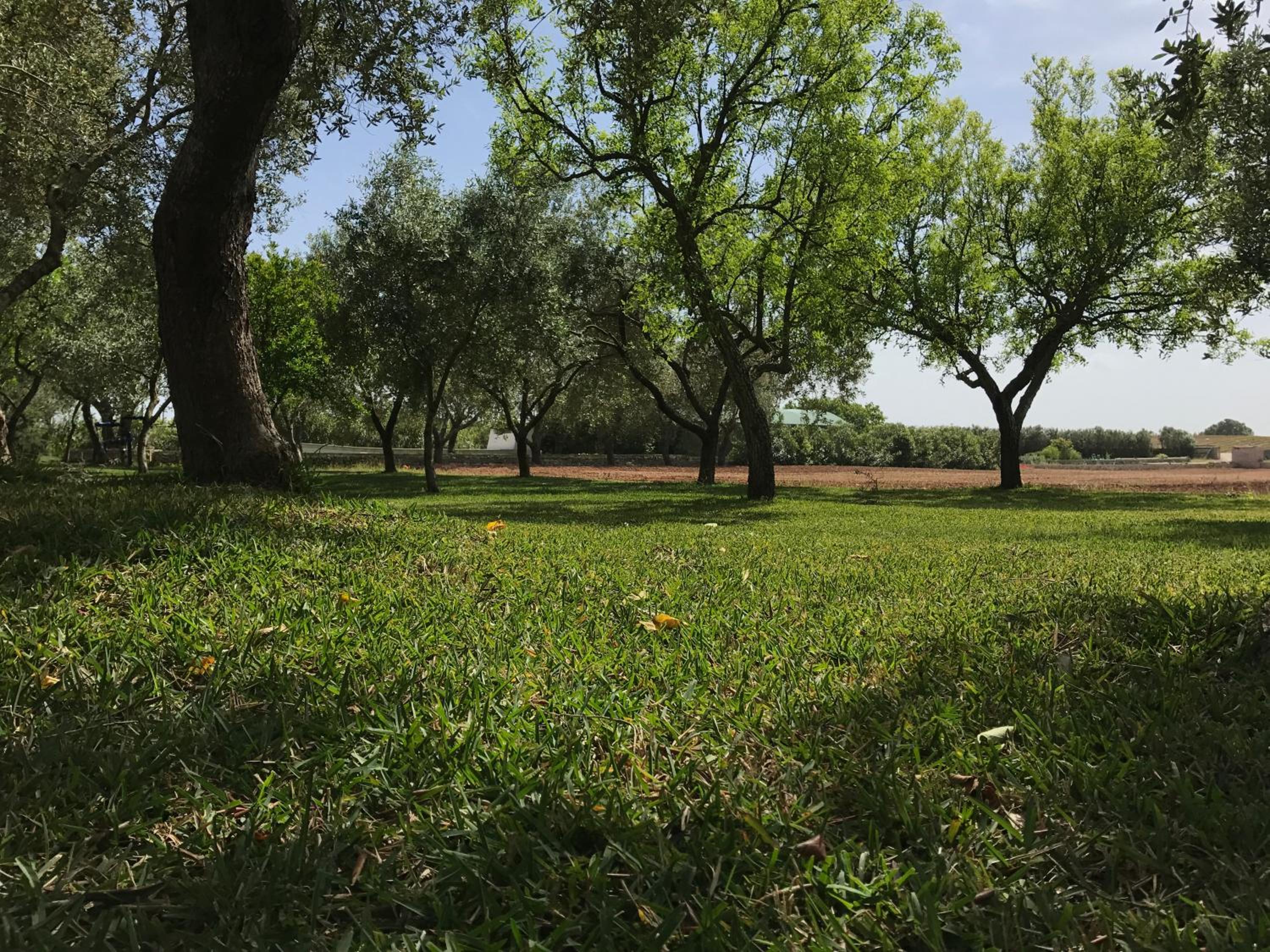 Agriturismo Terra Rossa