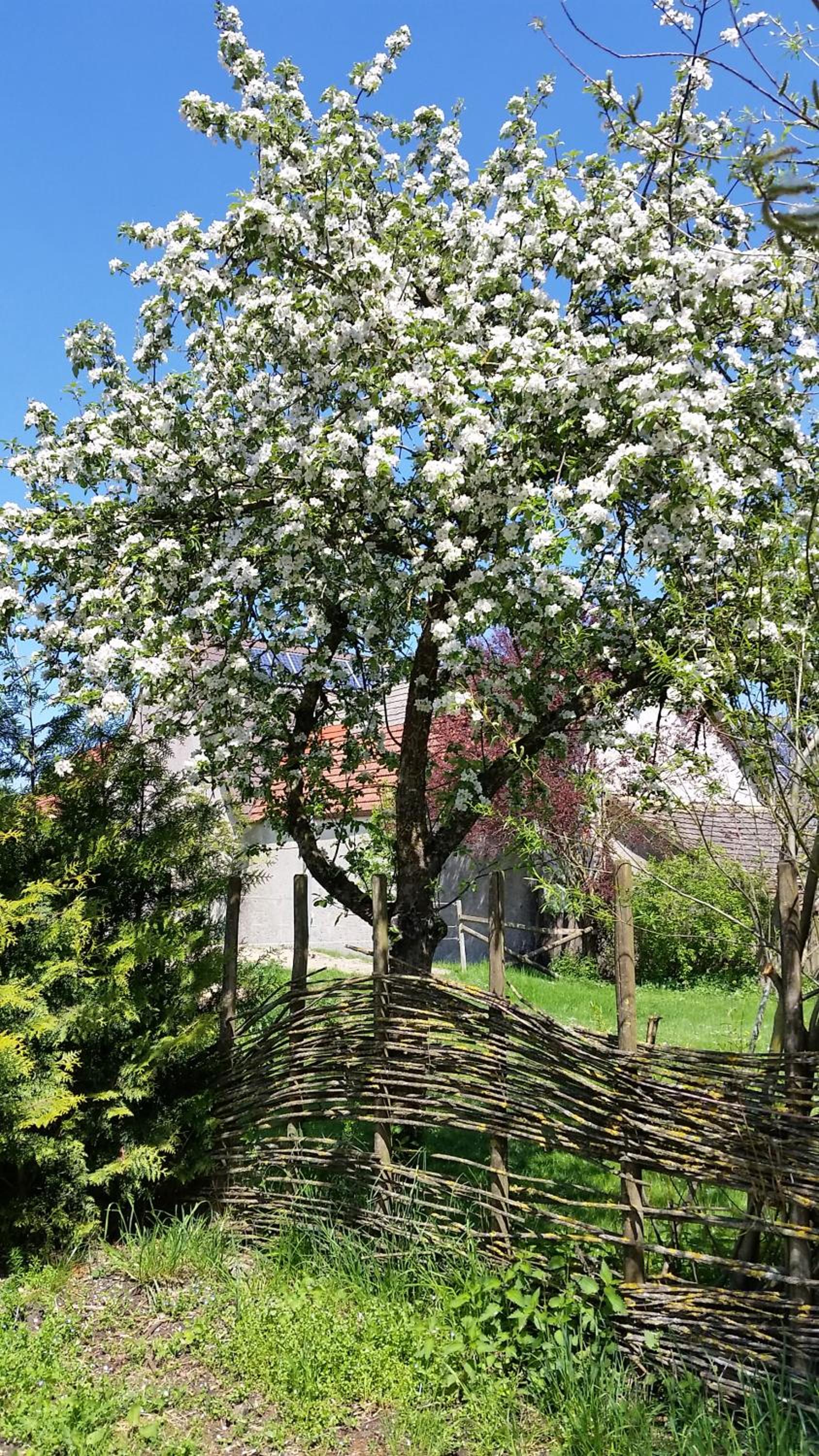 Ferienwohnungen Hof Plenkitten