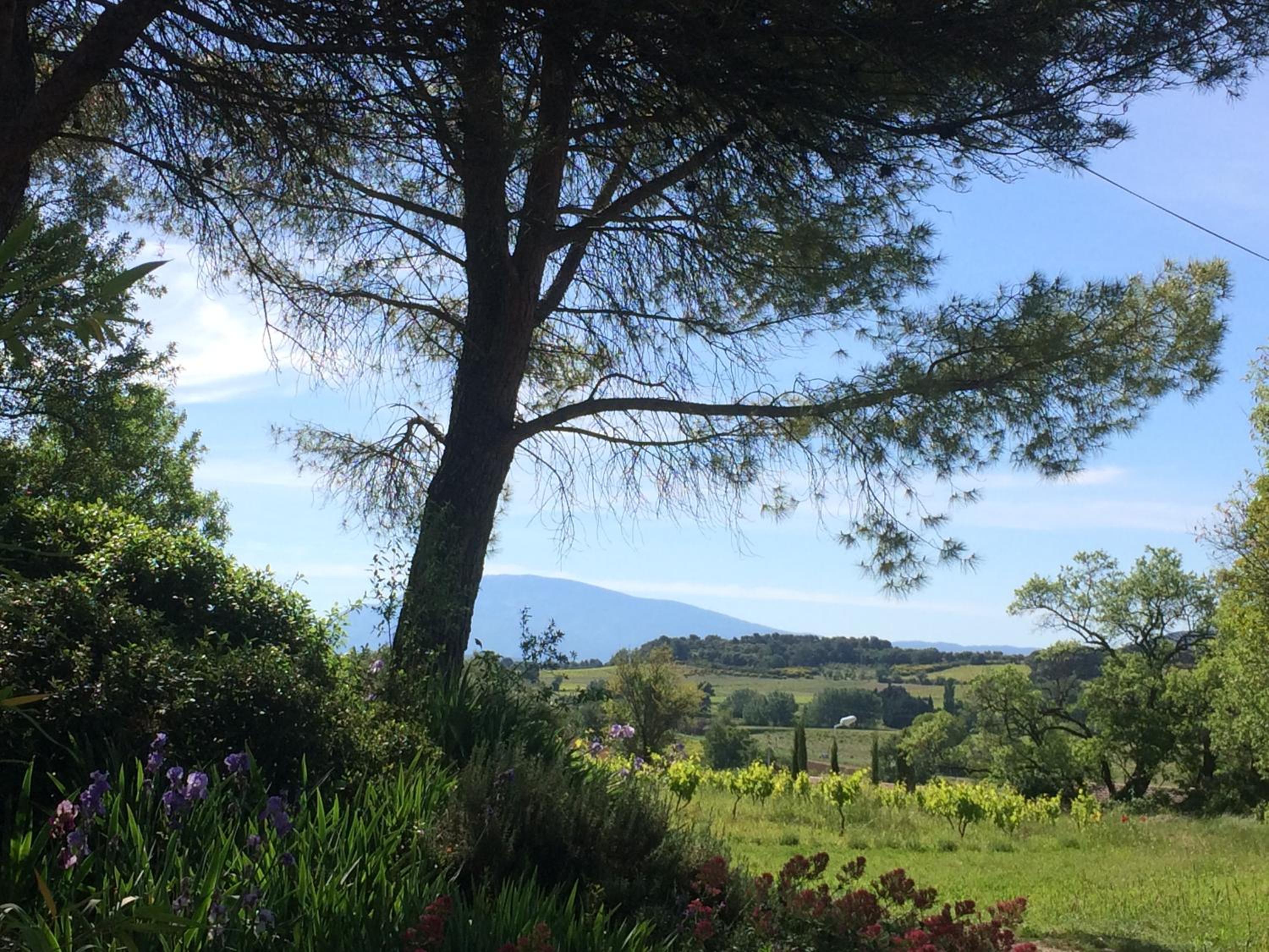 Domaine Fontaine view 3