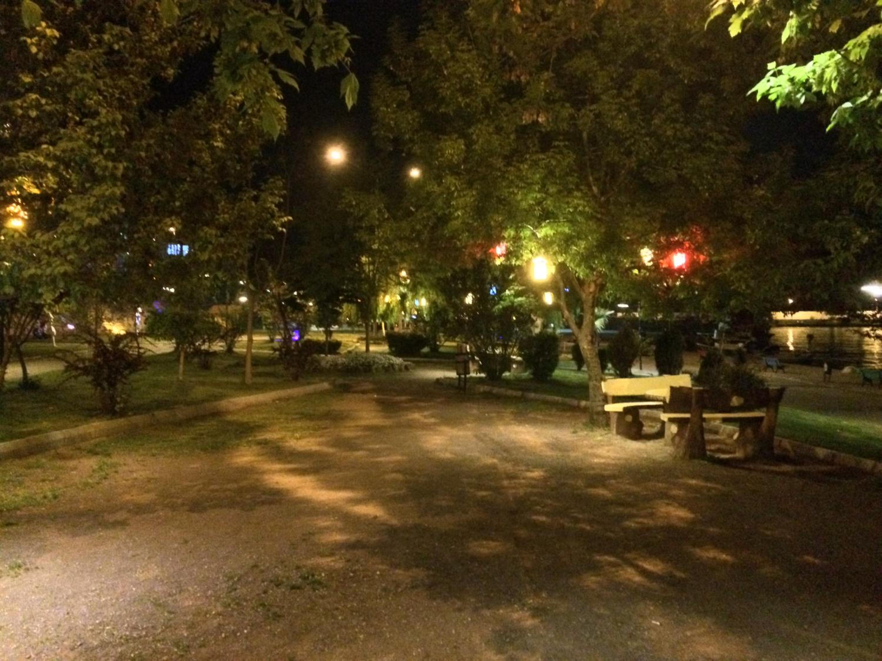 Photo 25