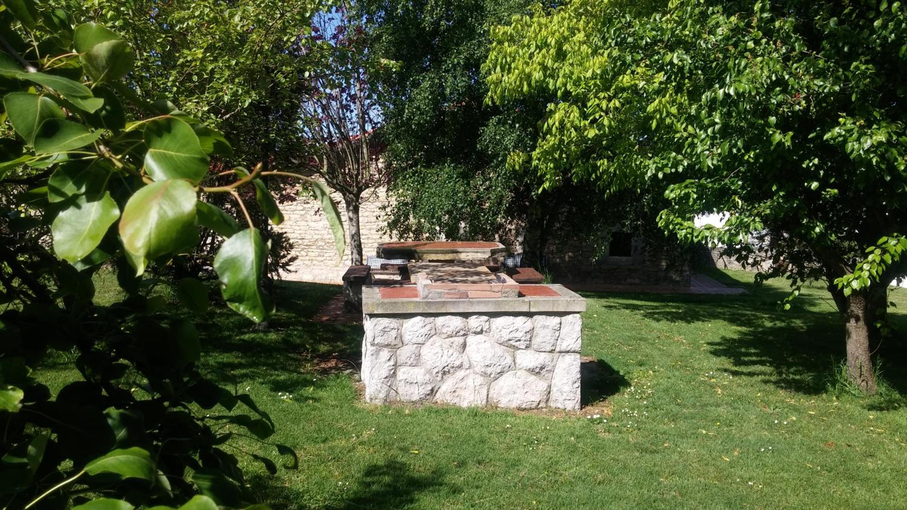 Photo 24