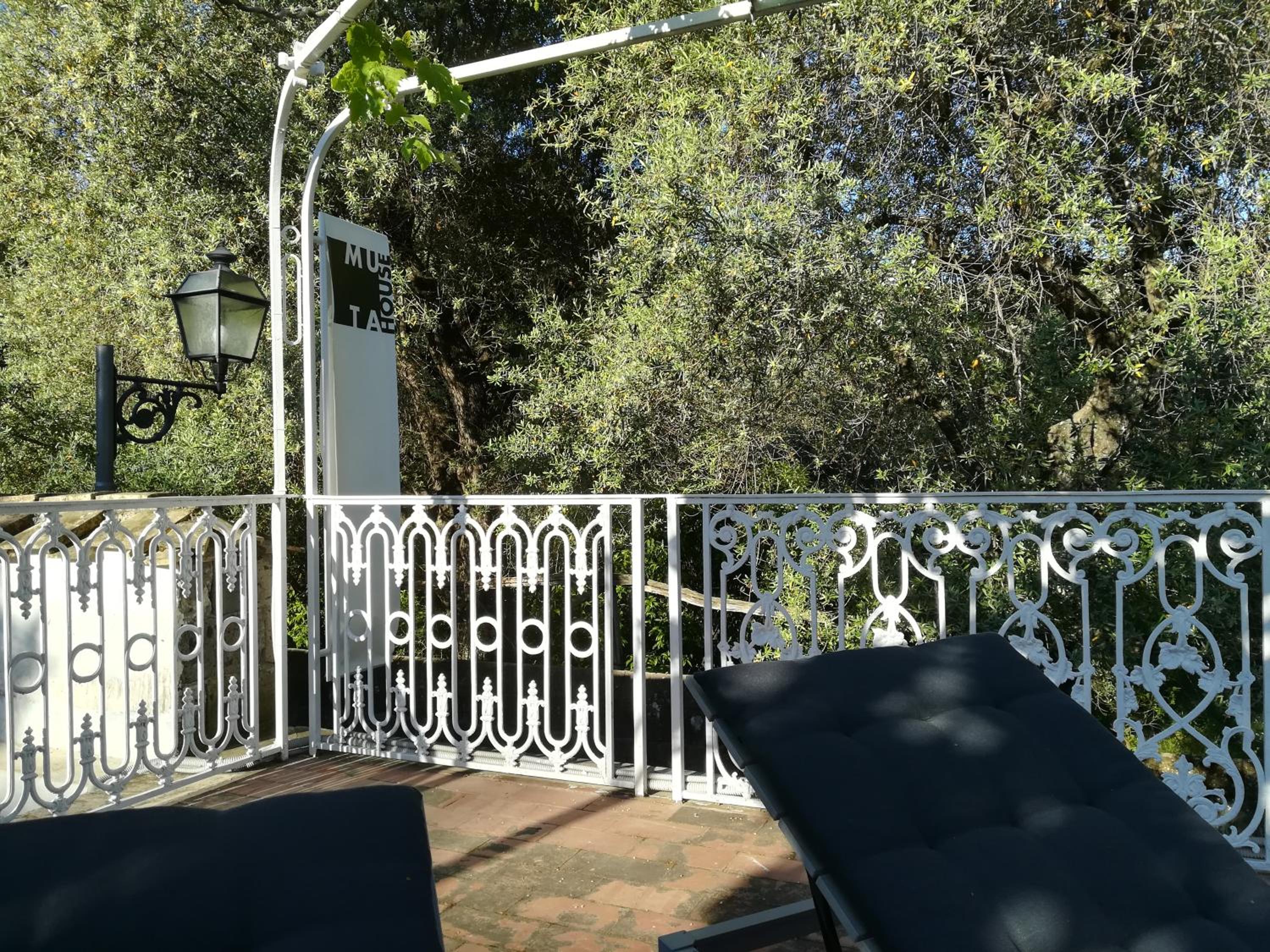 Muta House photo 3