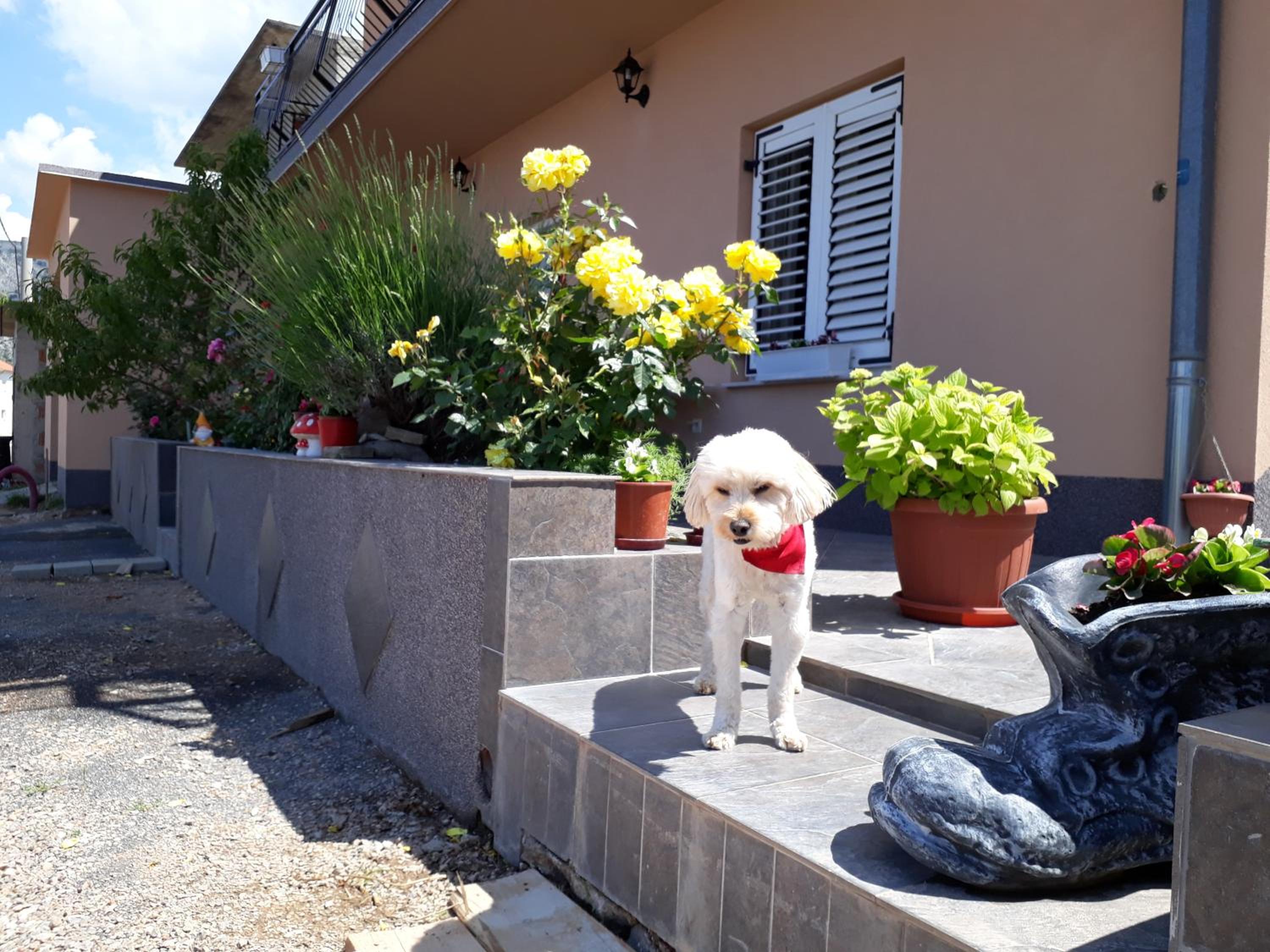 Photo 33