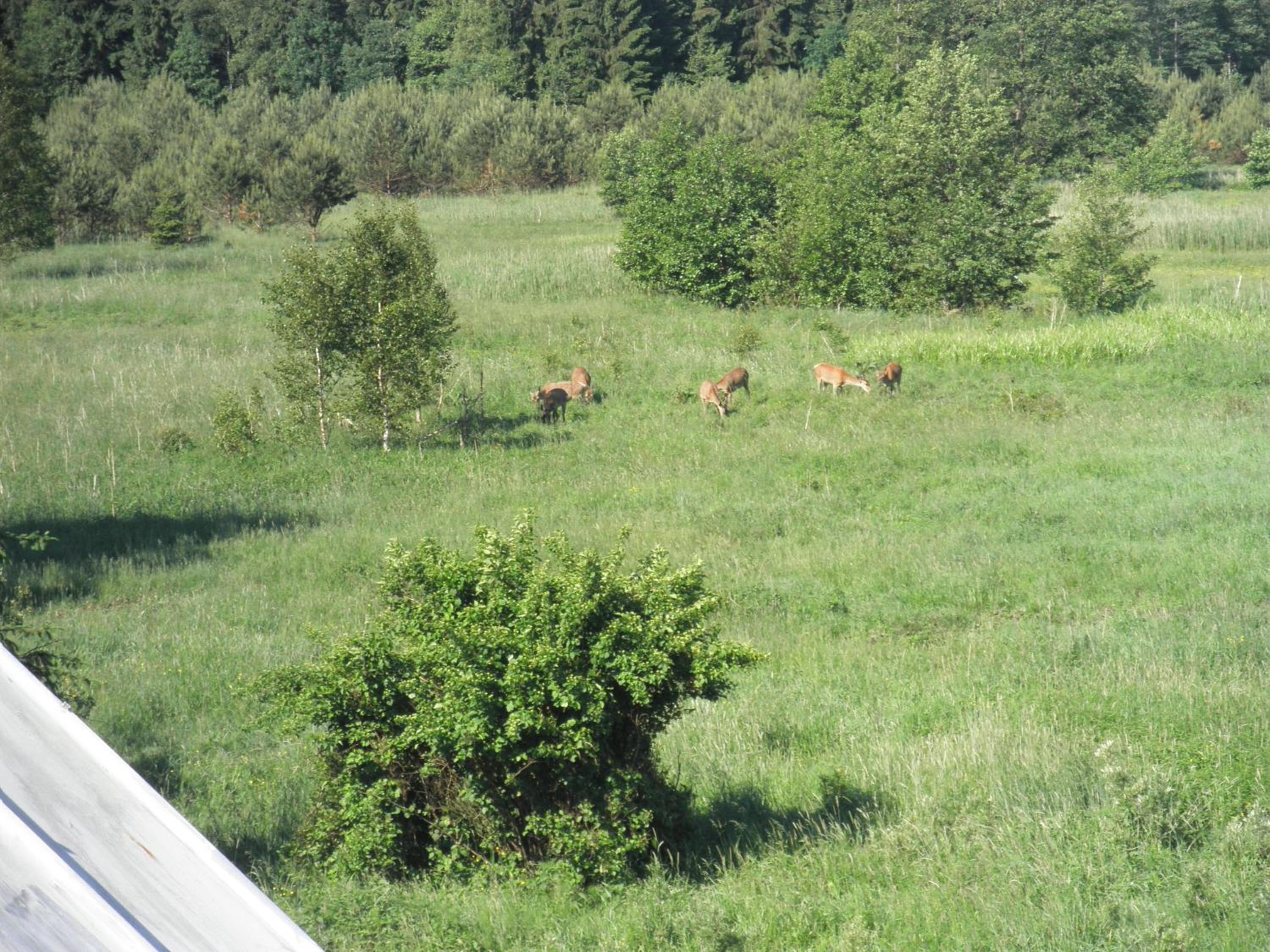 Photo 30