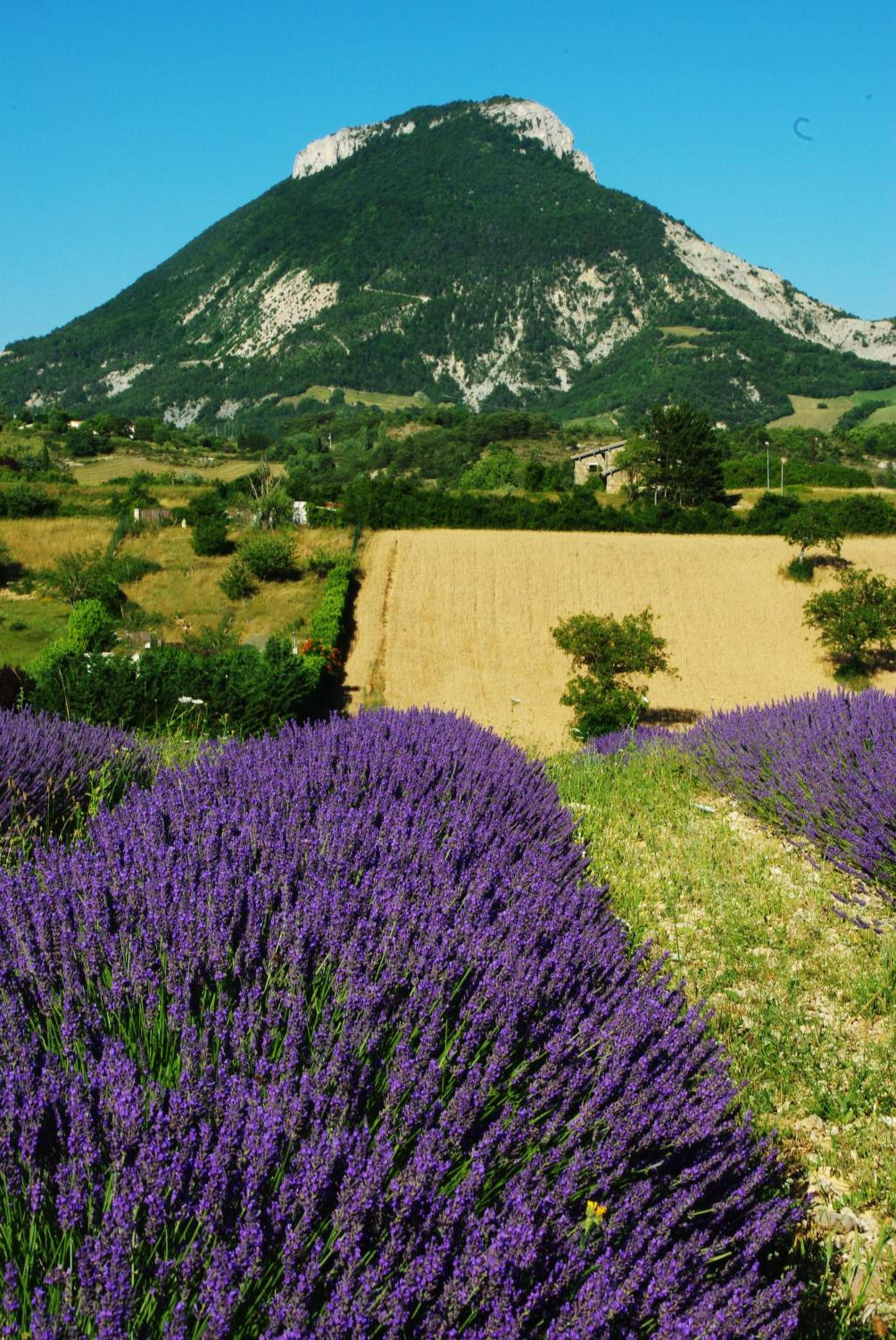 L'Ensoleillee en Rosans