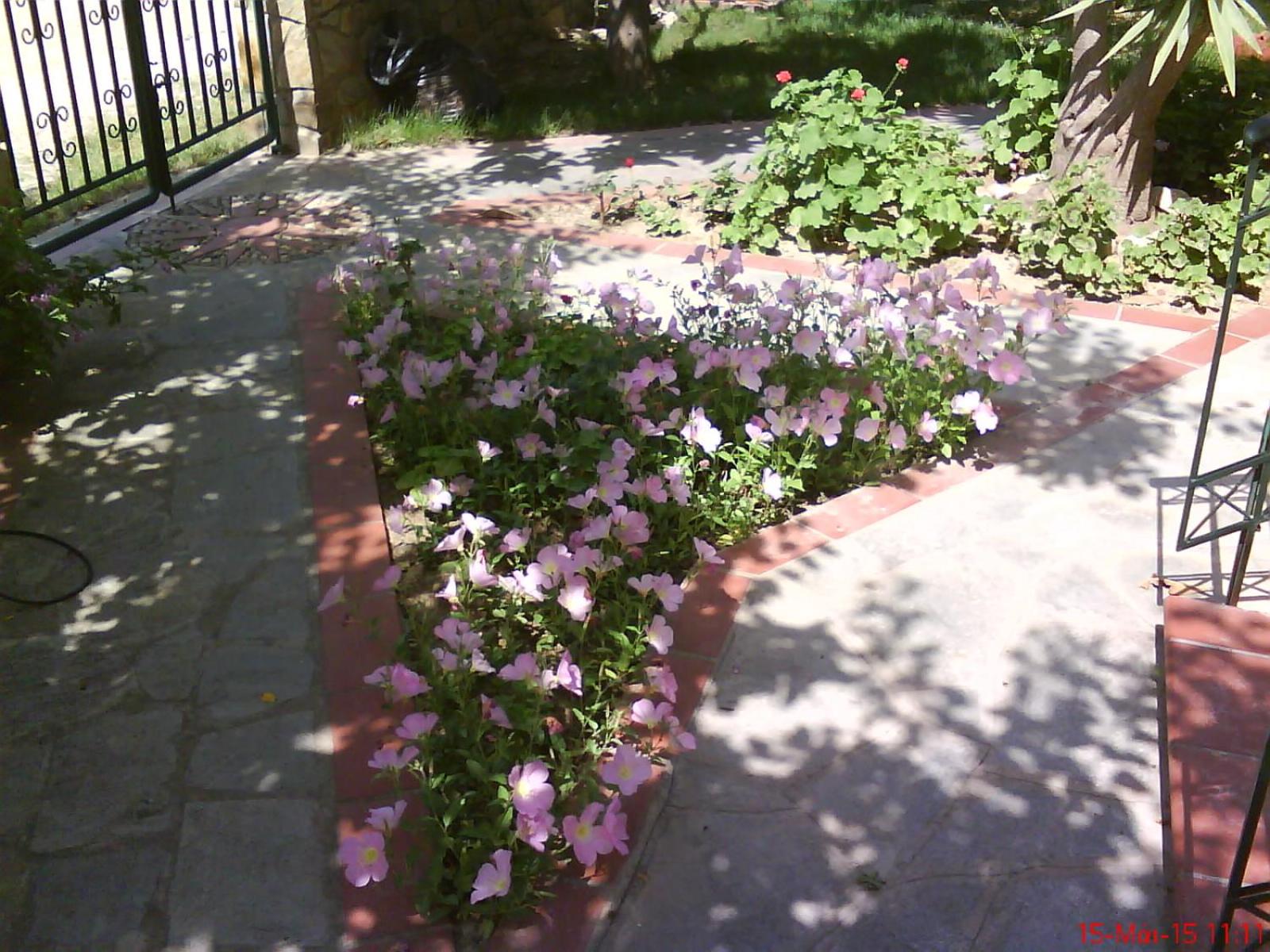Photo 33