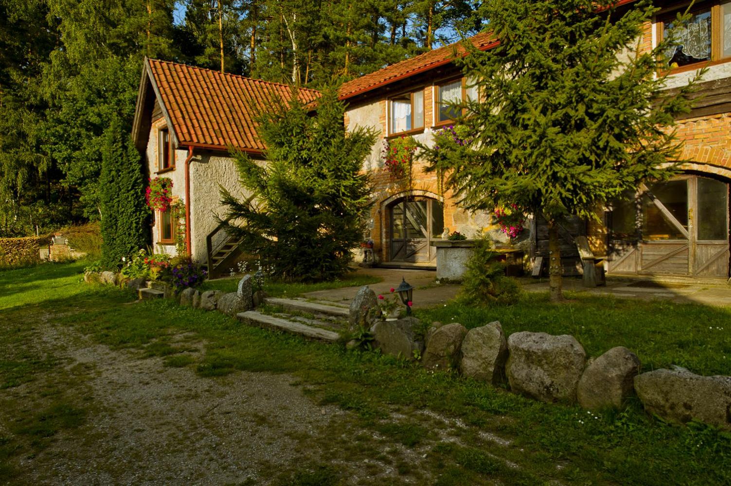 Photo 8