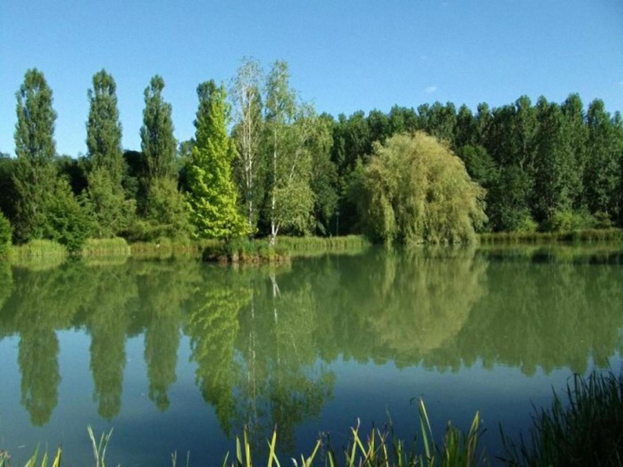 Le Domaine de L'étang de Sandanet
