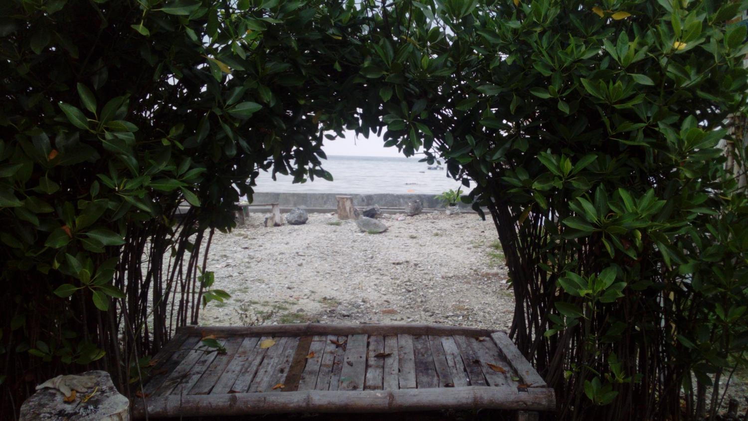 Photo 8