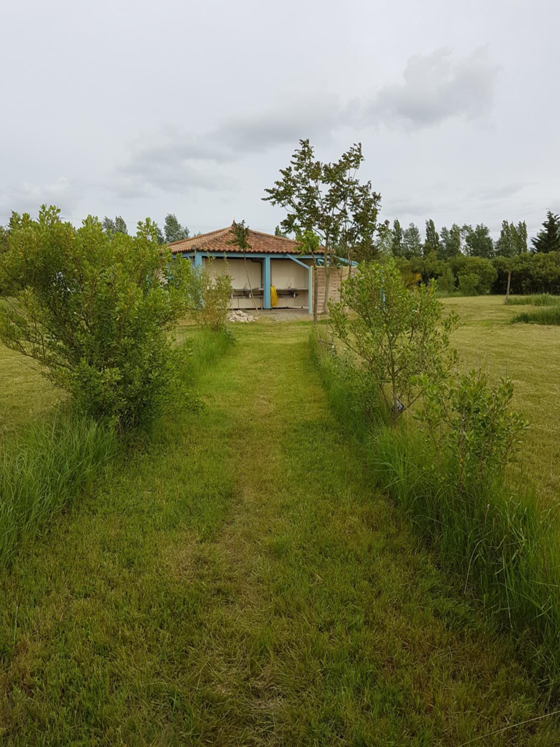 Photo 42