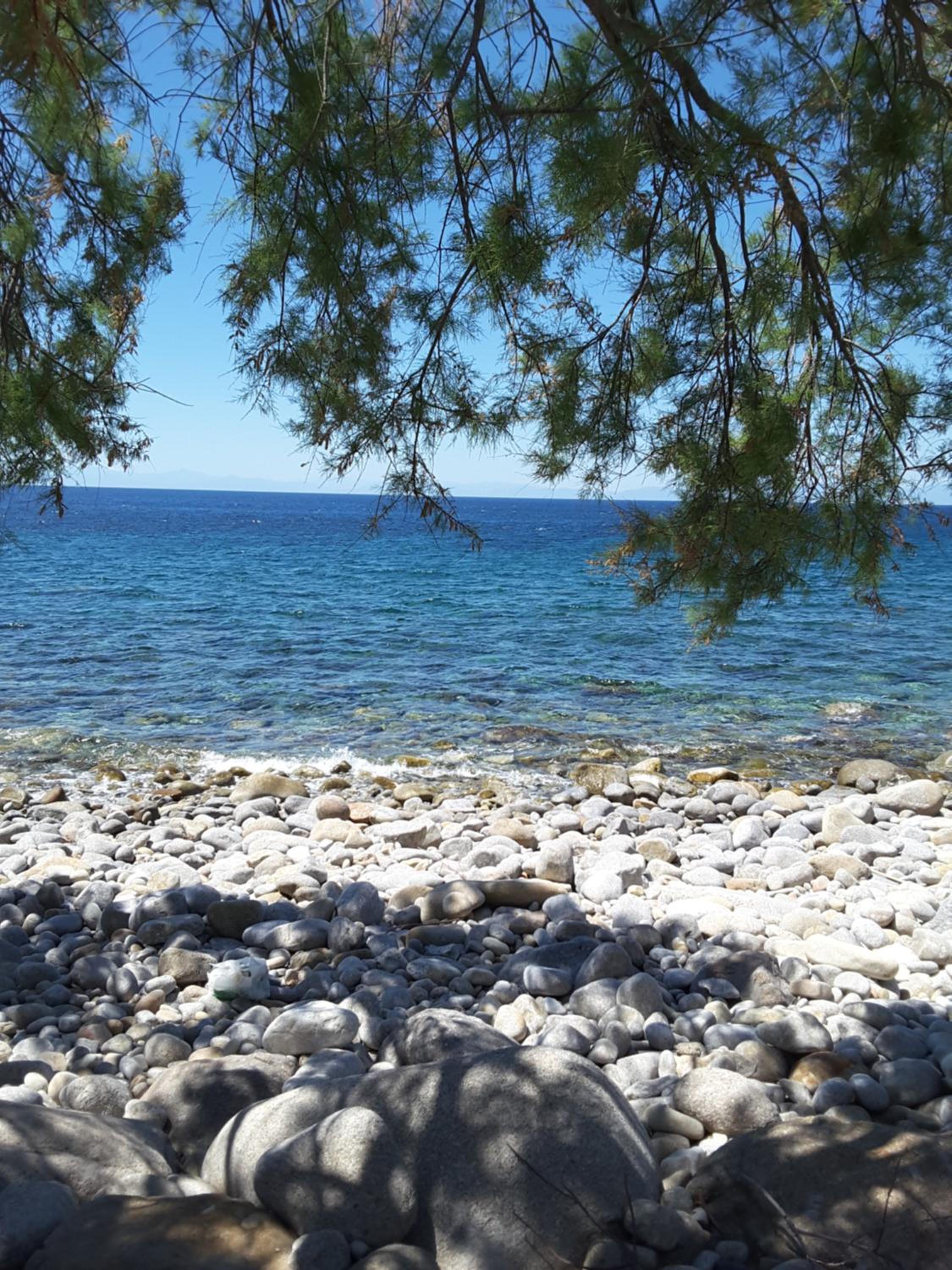 Photo 25