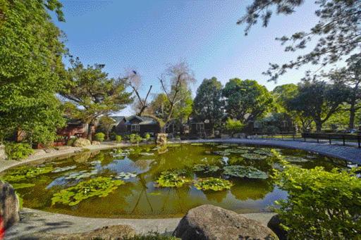 garden