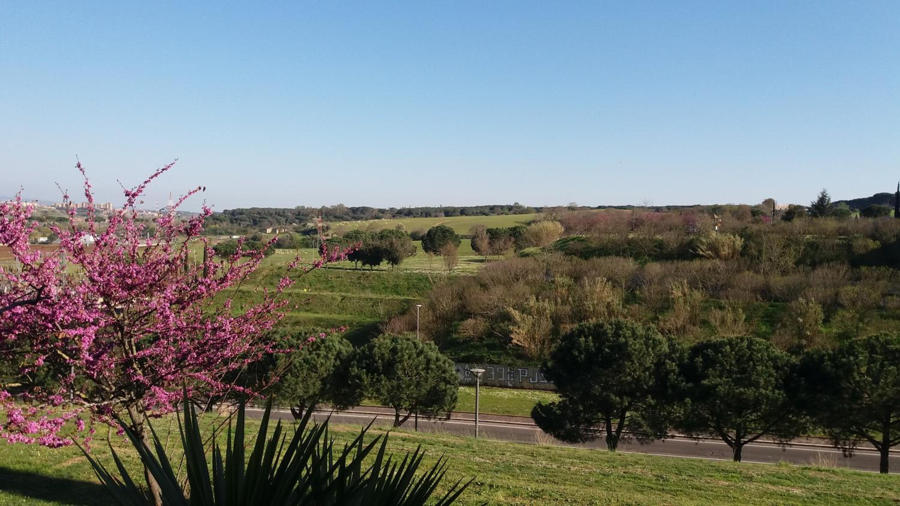 B&B Colline verdi