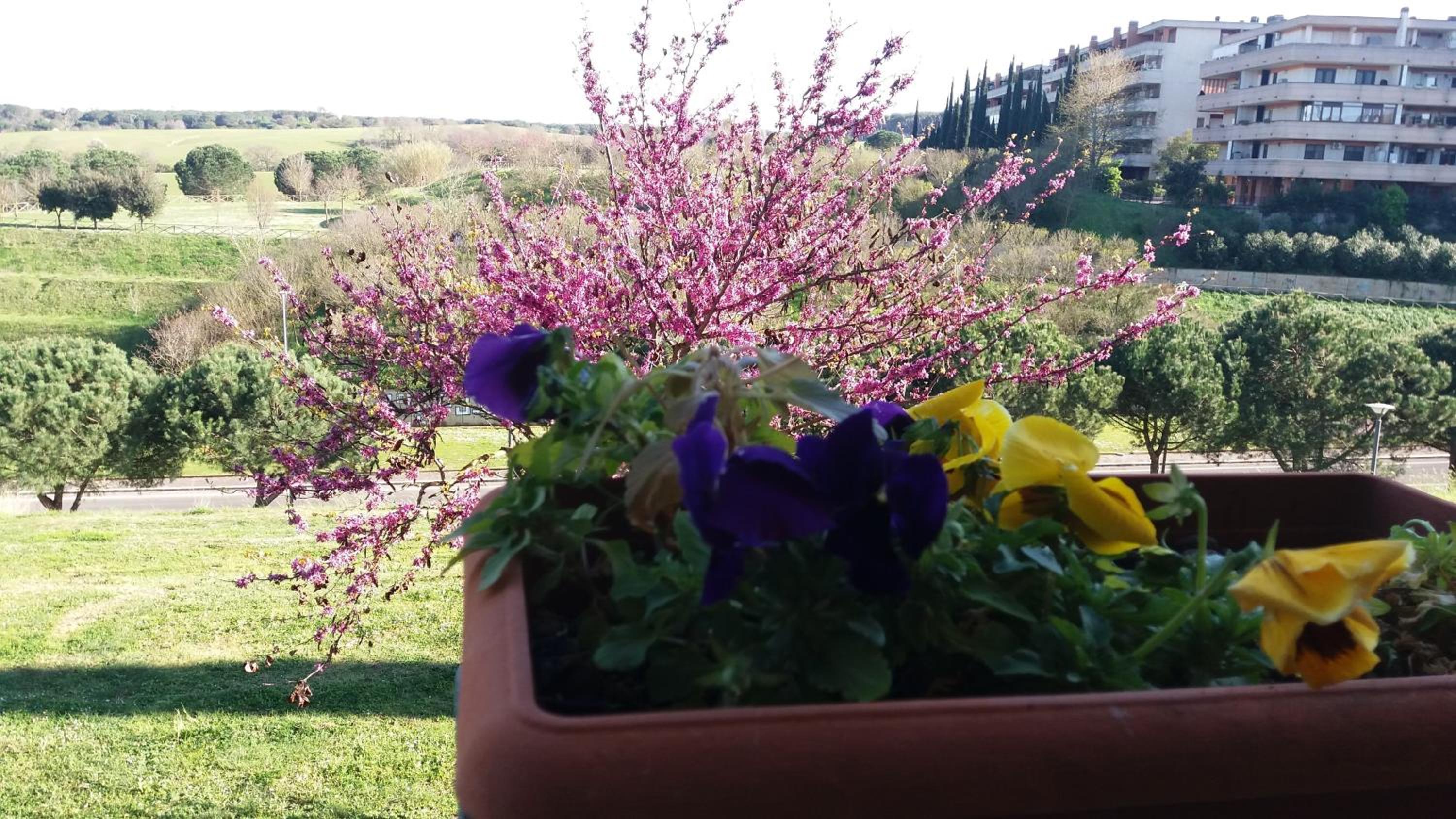 B&B Colline verdi