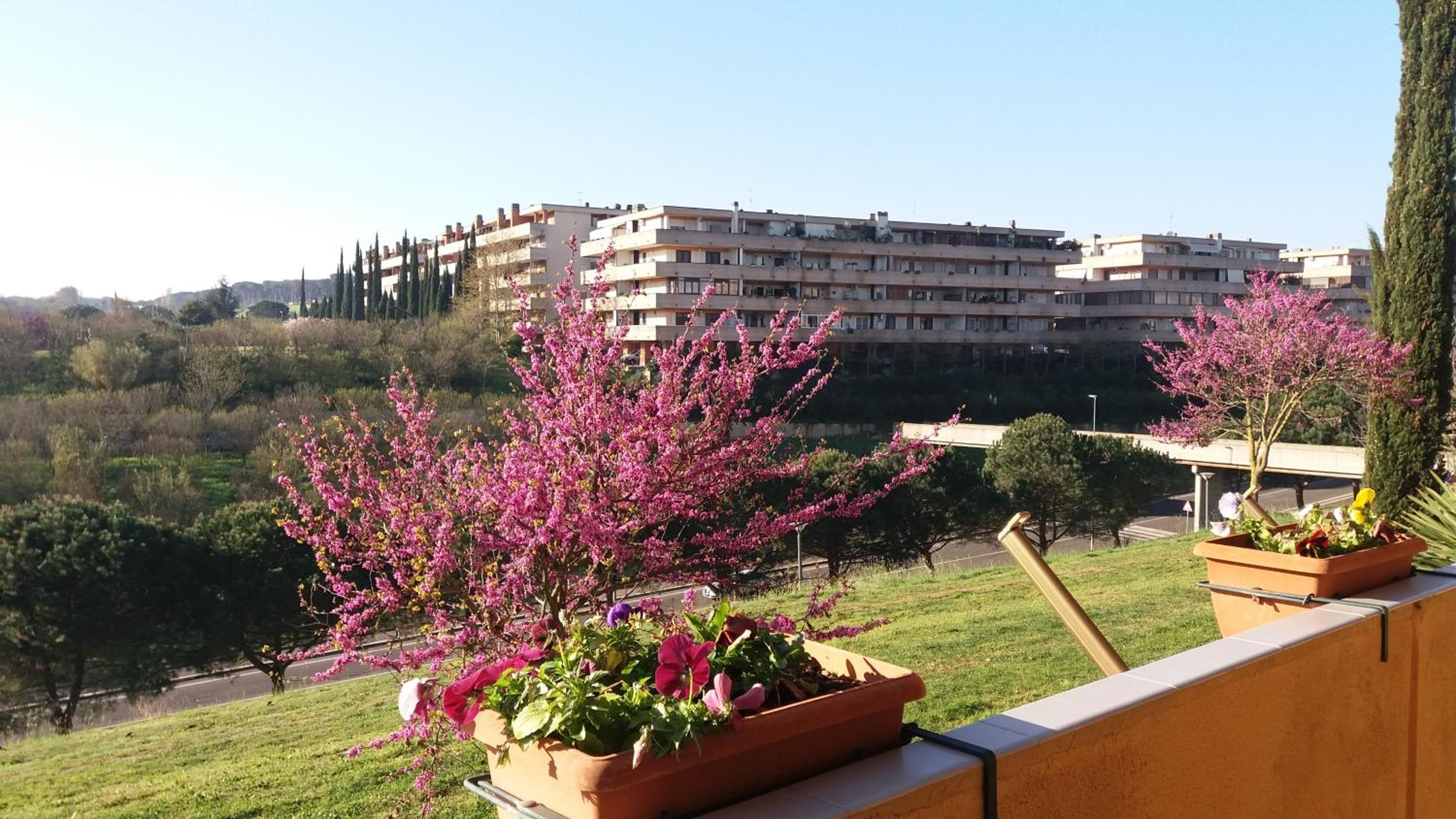 B&B Colline verdi