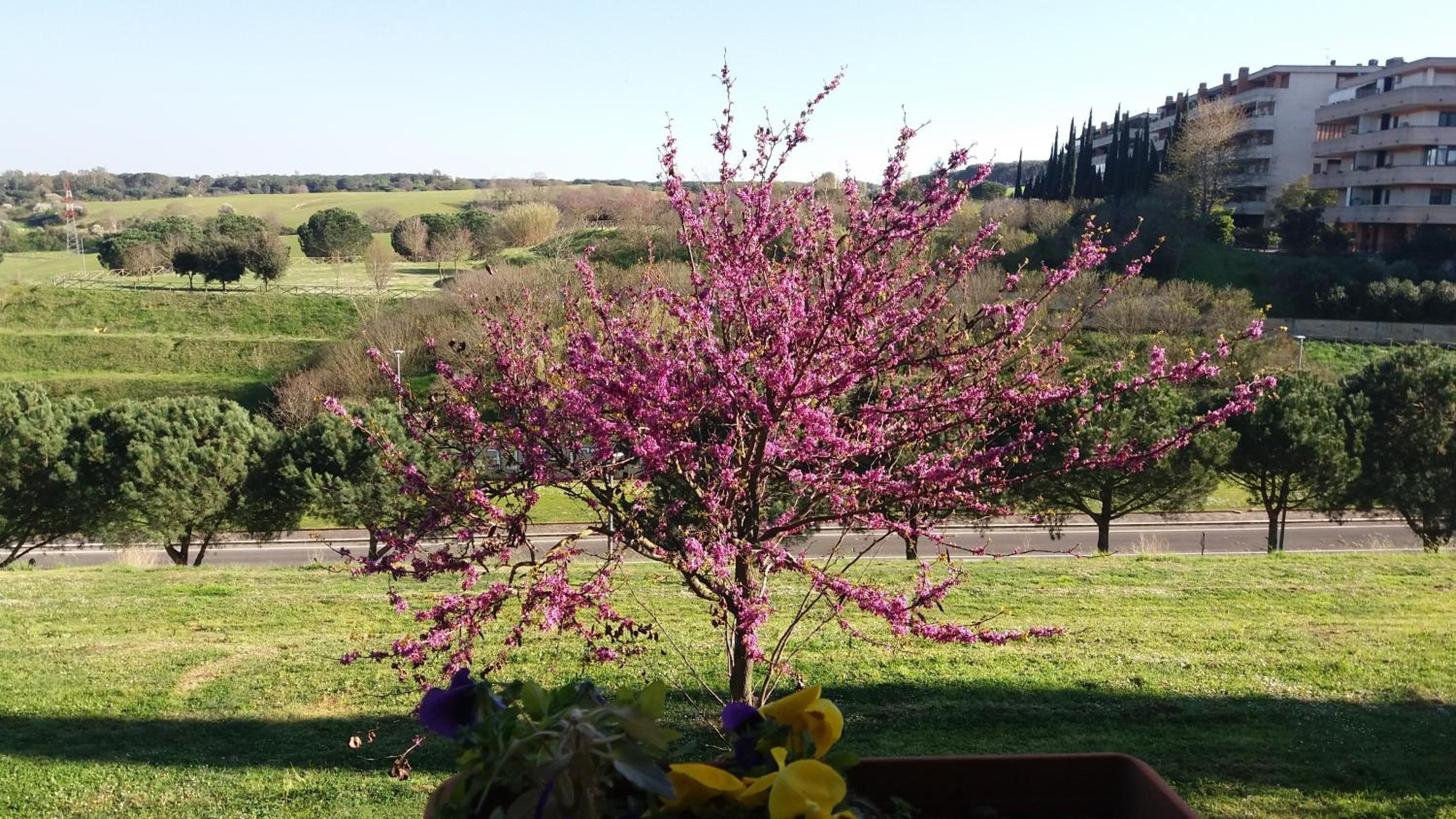 B&B Colline verdi