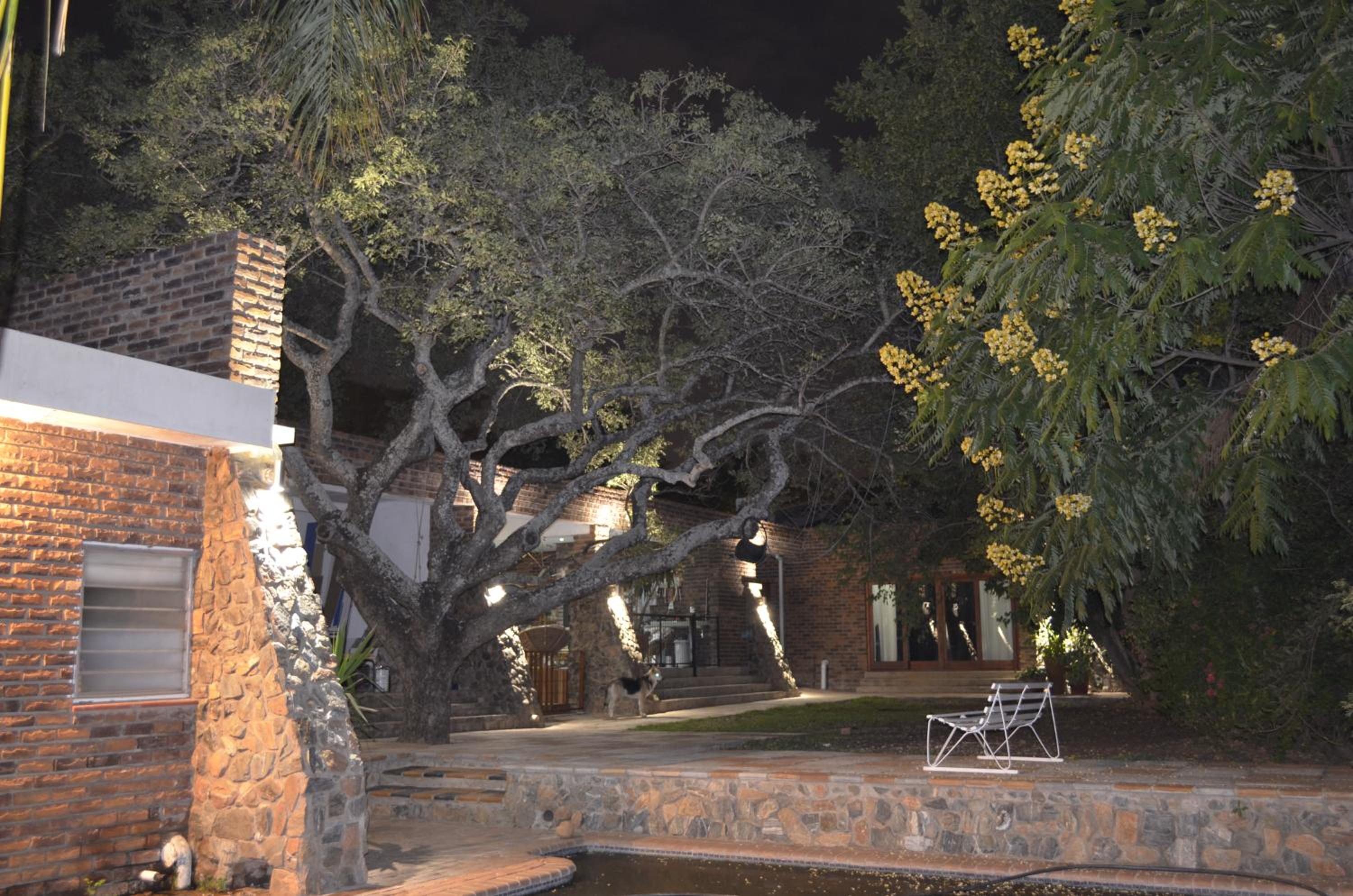 Photo 16