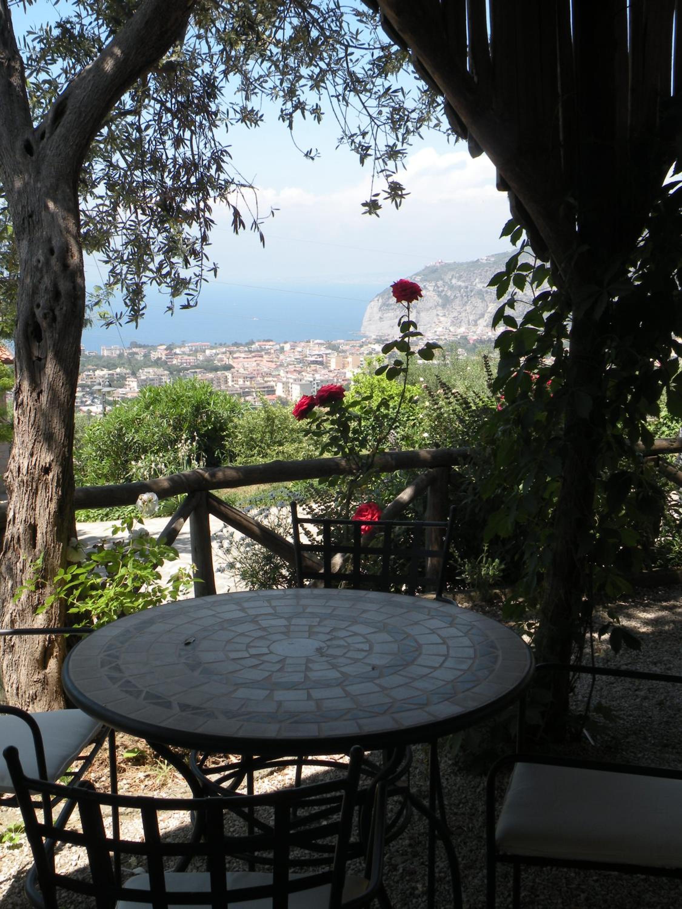 Agriturismo L'Olivara view 3