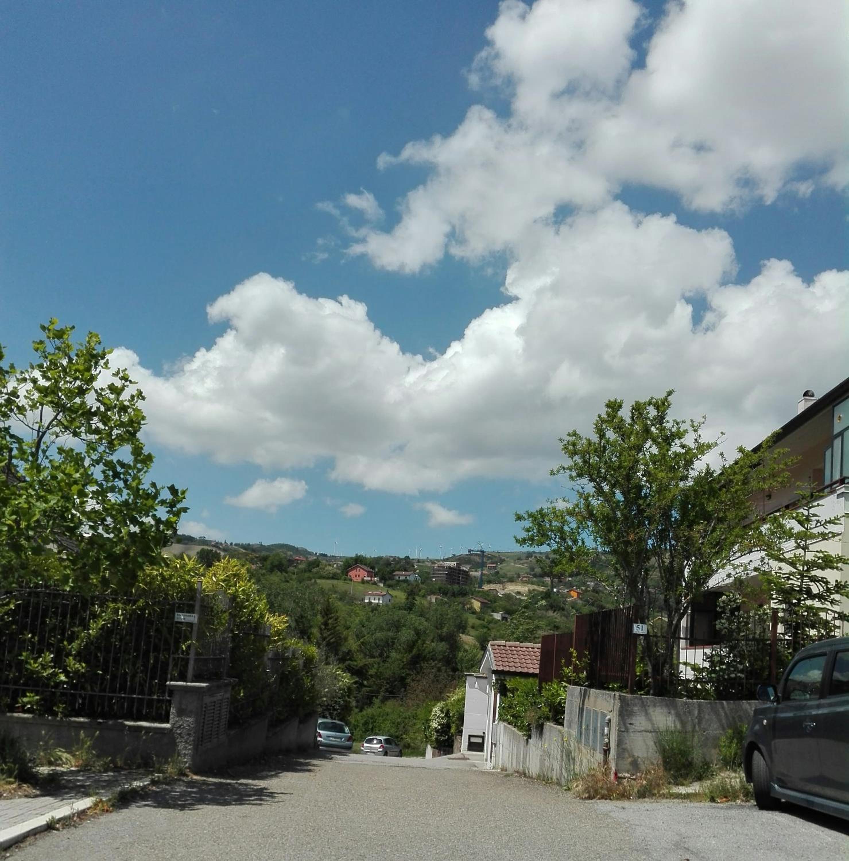 Photo 36