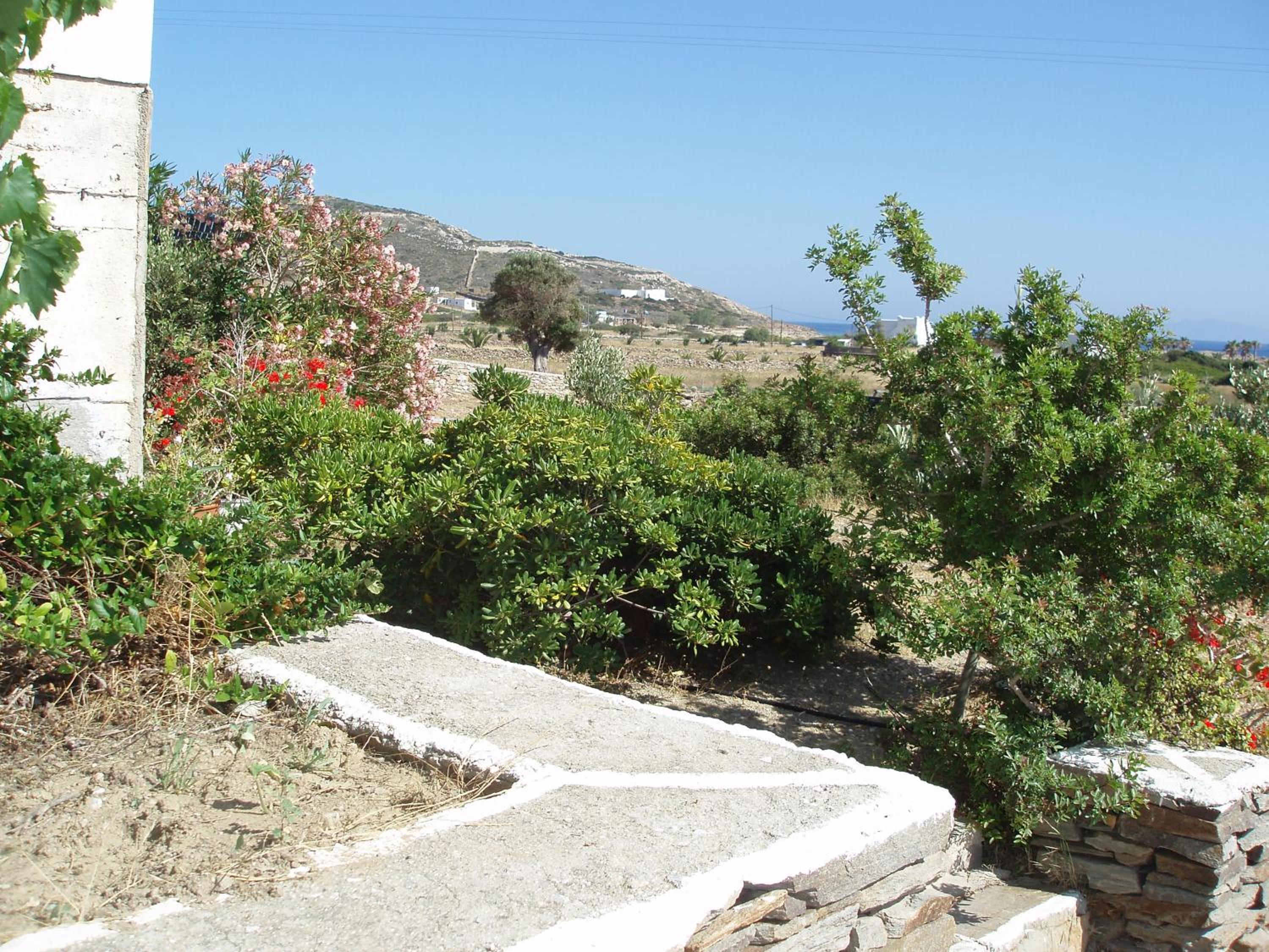 Photo 26