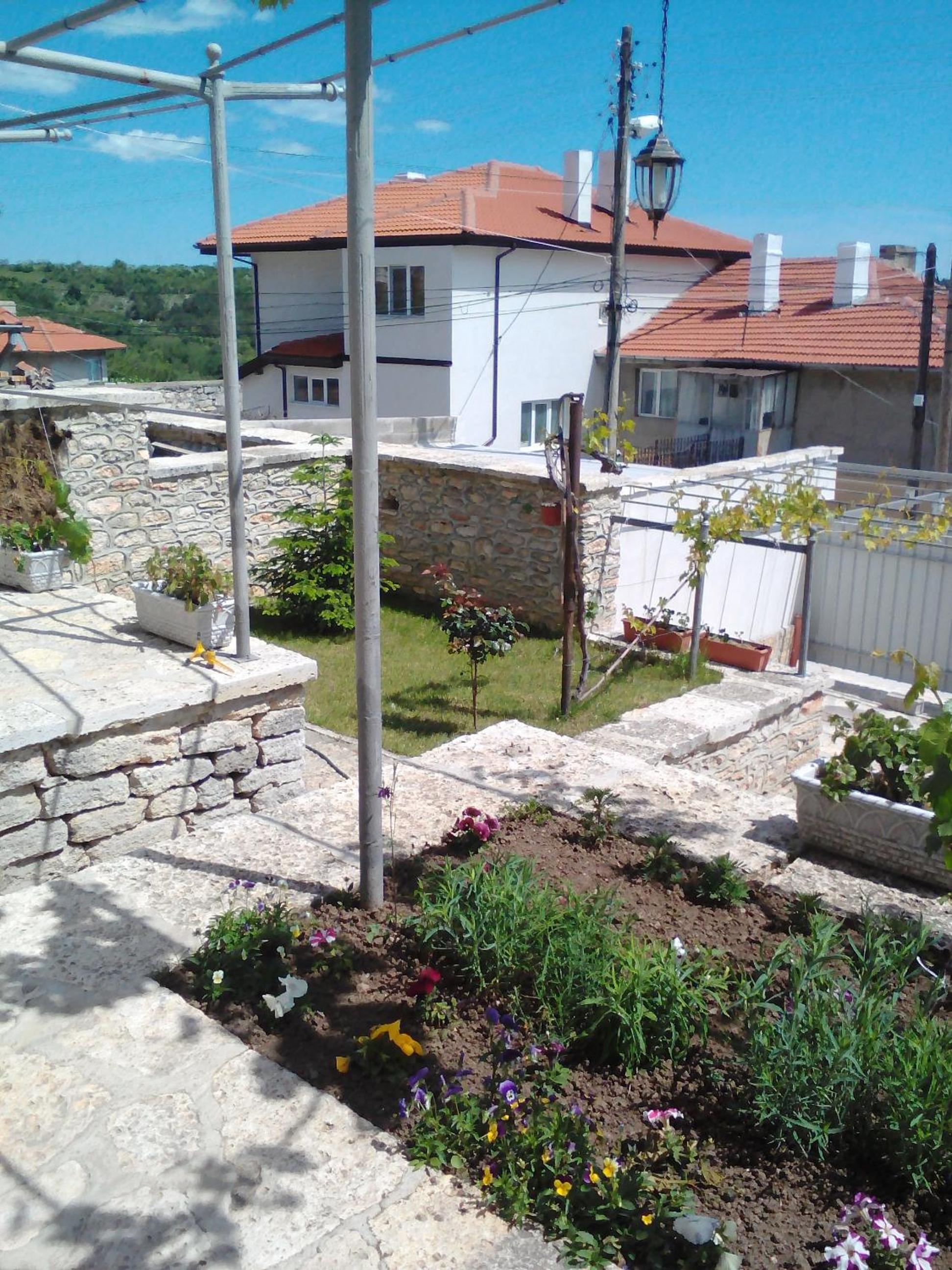Photo 19