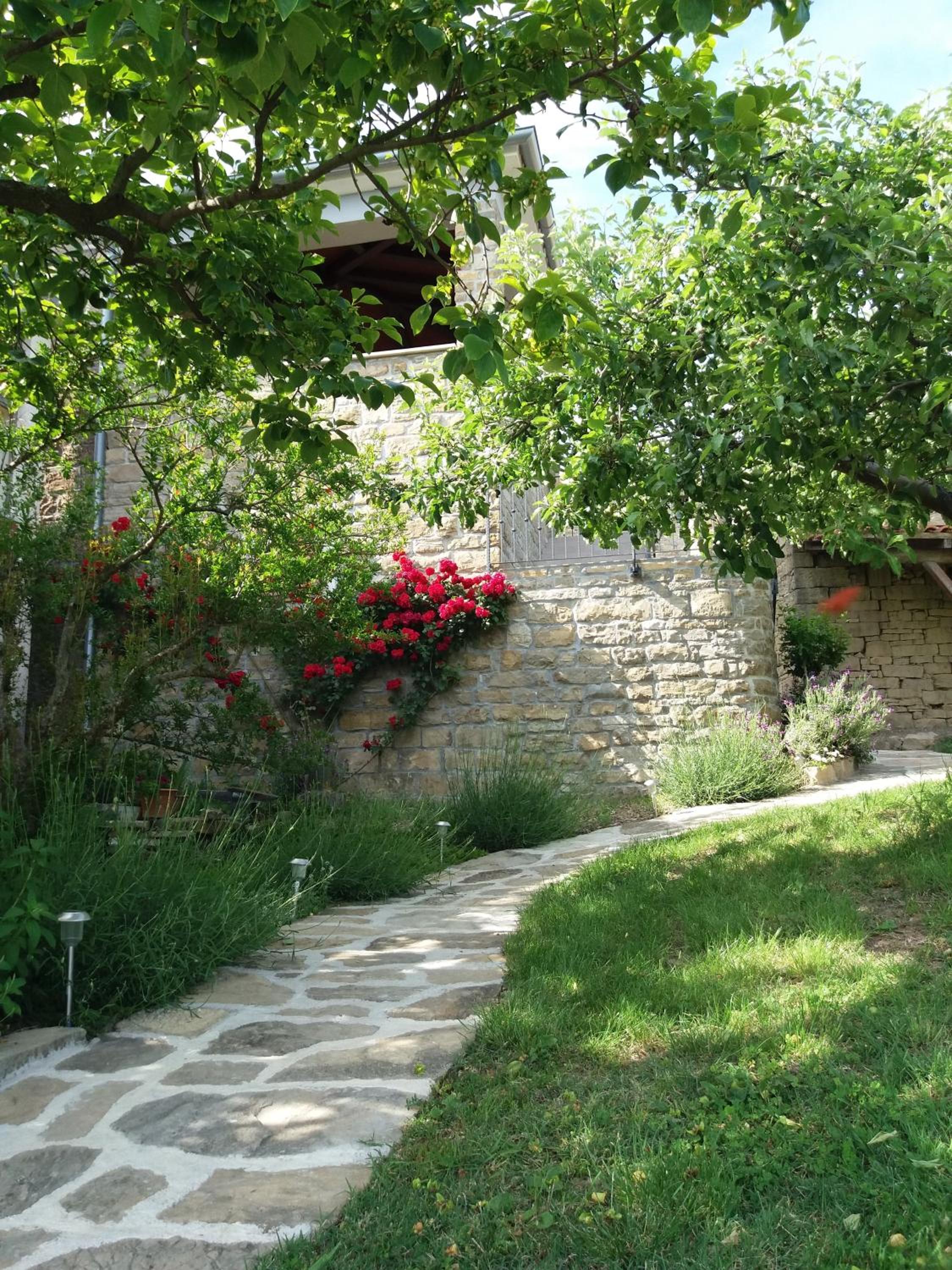Apartmani Damiani view 2