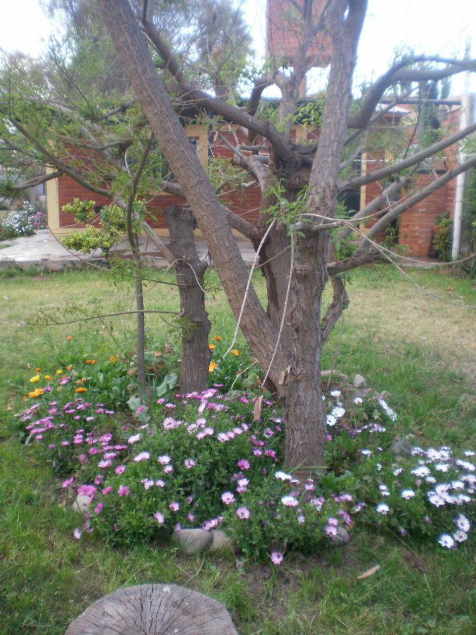 Cabañas Mirmar Mendoza