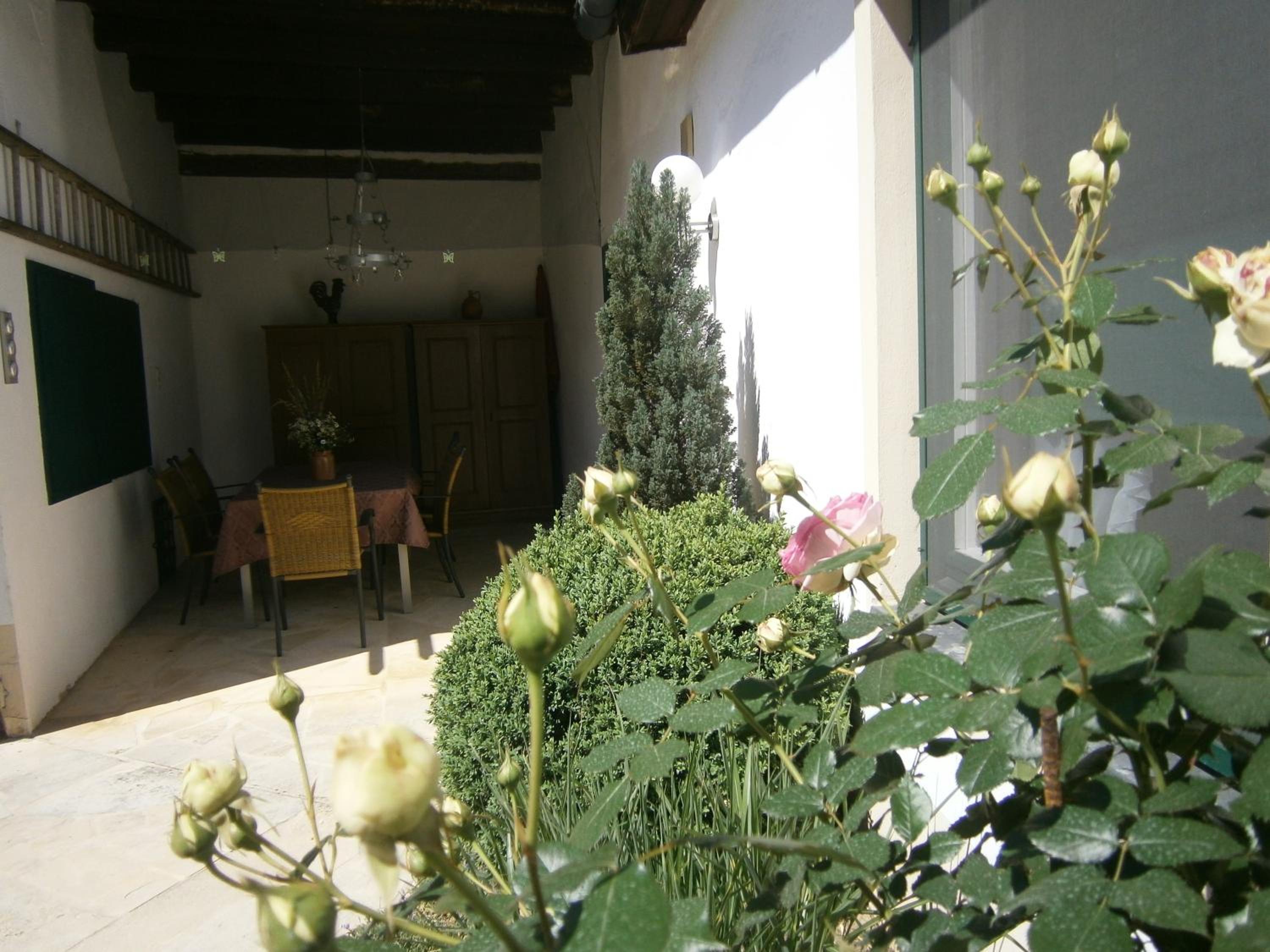 Photo 41