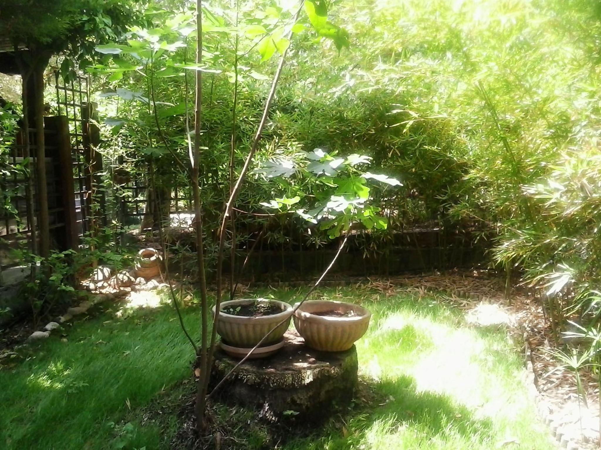 Photo 24