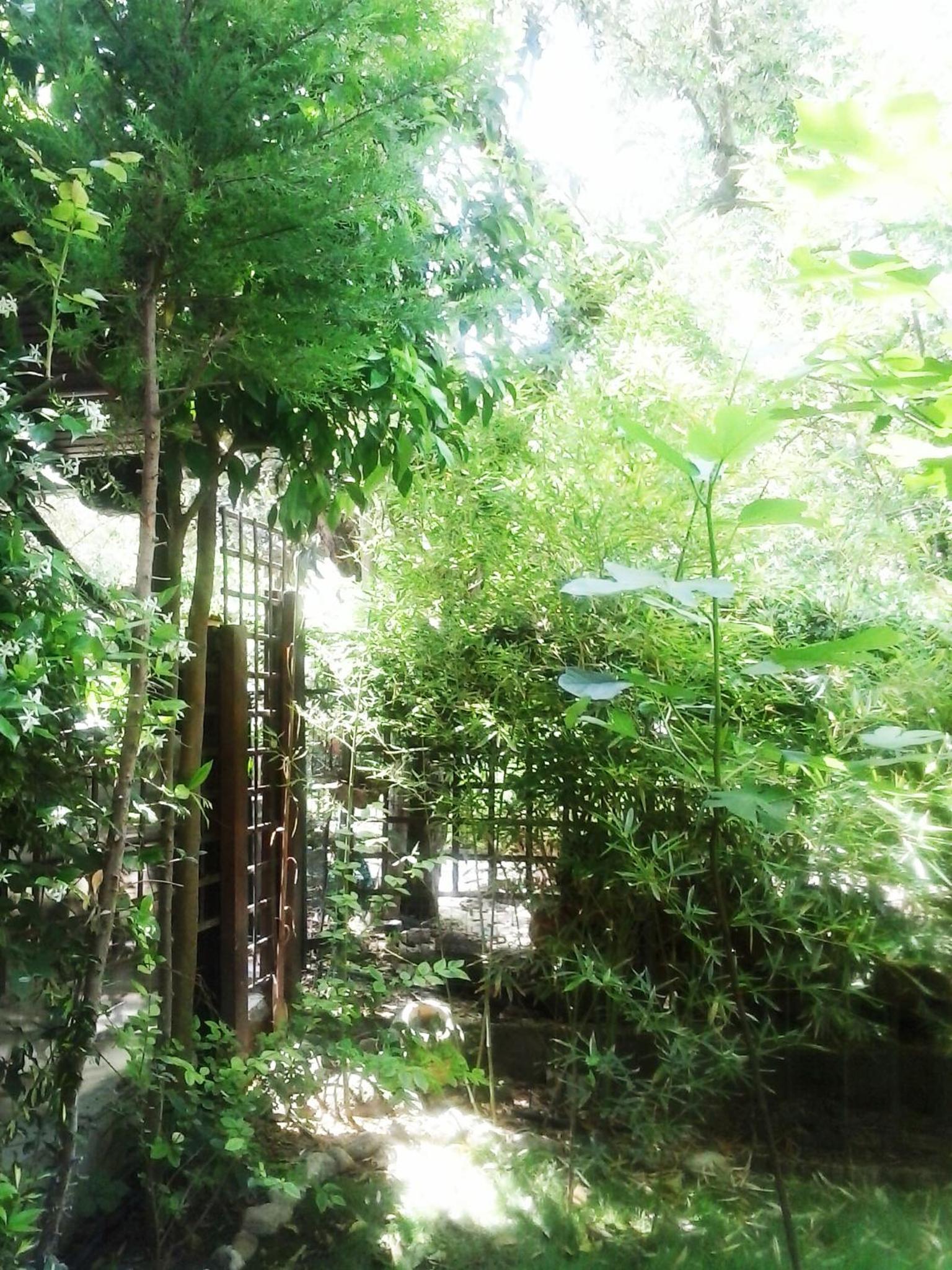 Photo 25