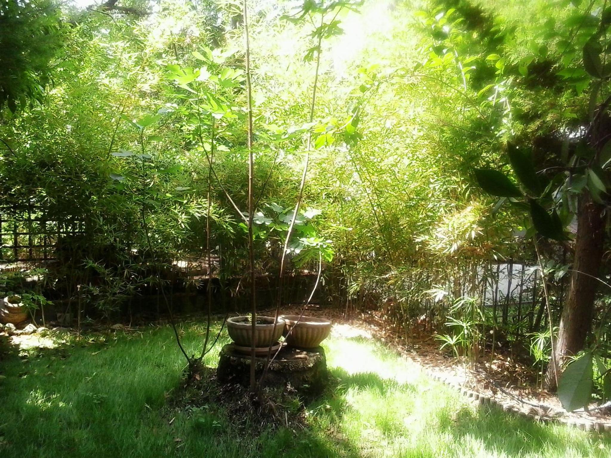 Charming Maisonette view 4