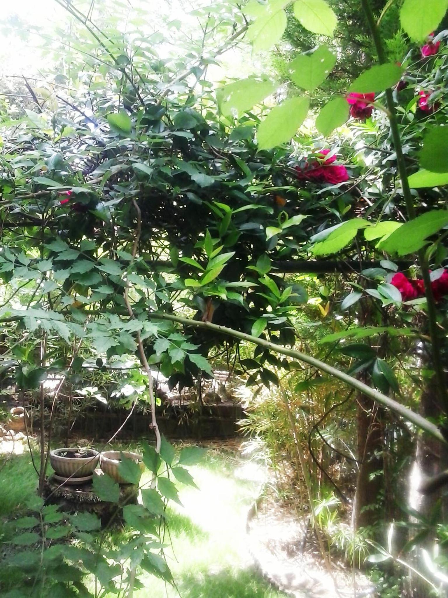 Charming Maisonette view 2