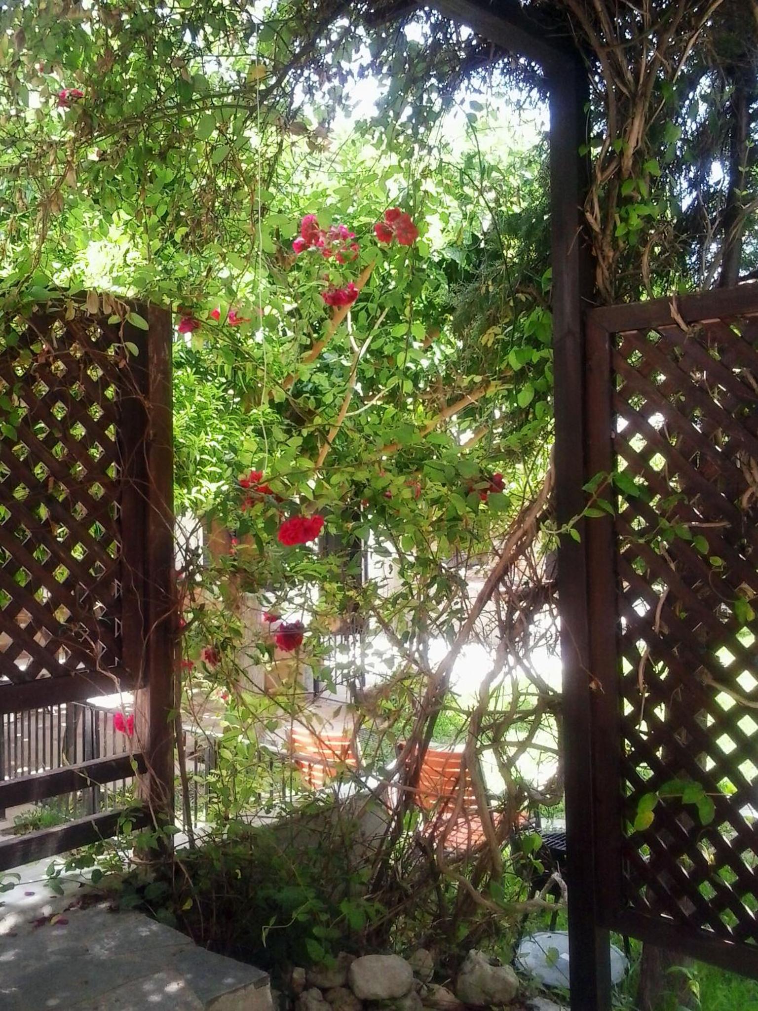 Photo 44