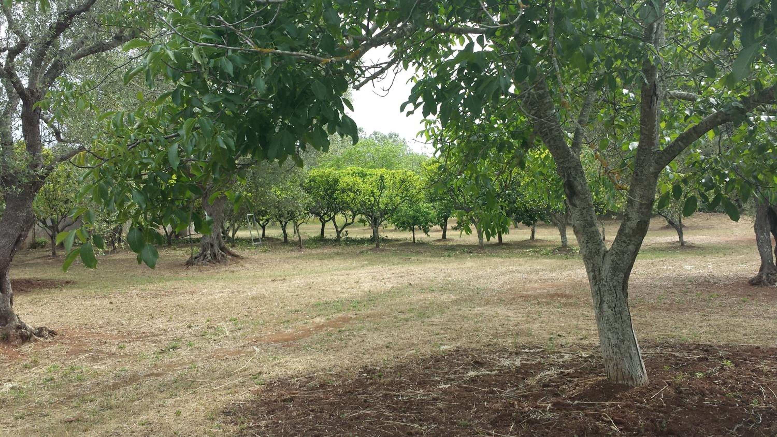 Photo 40