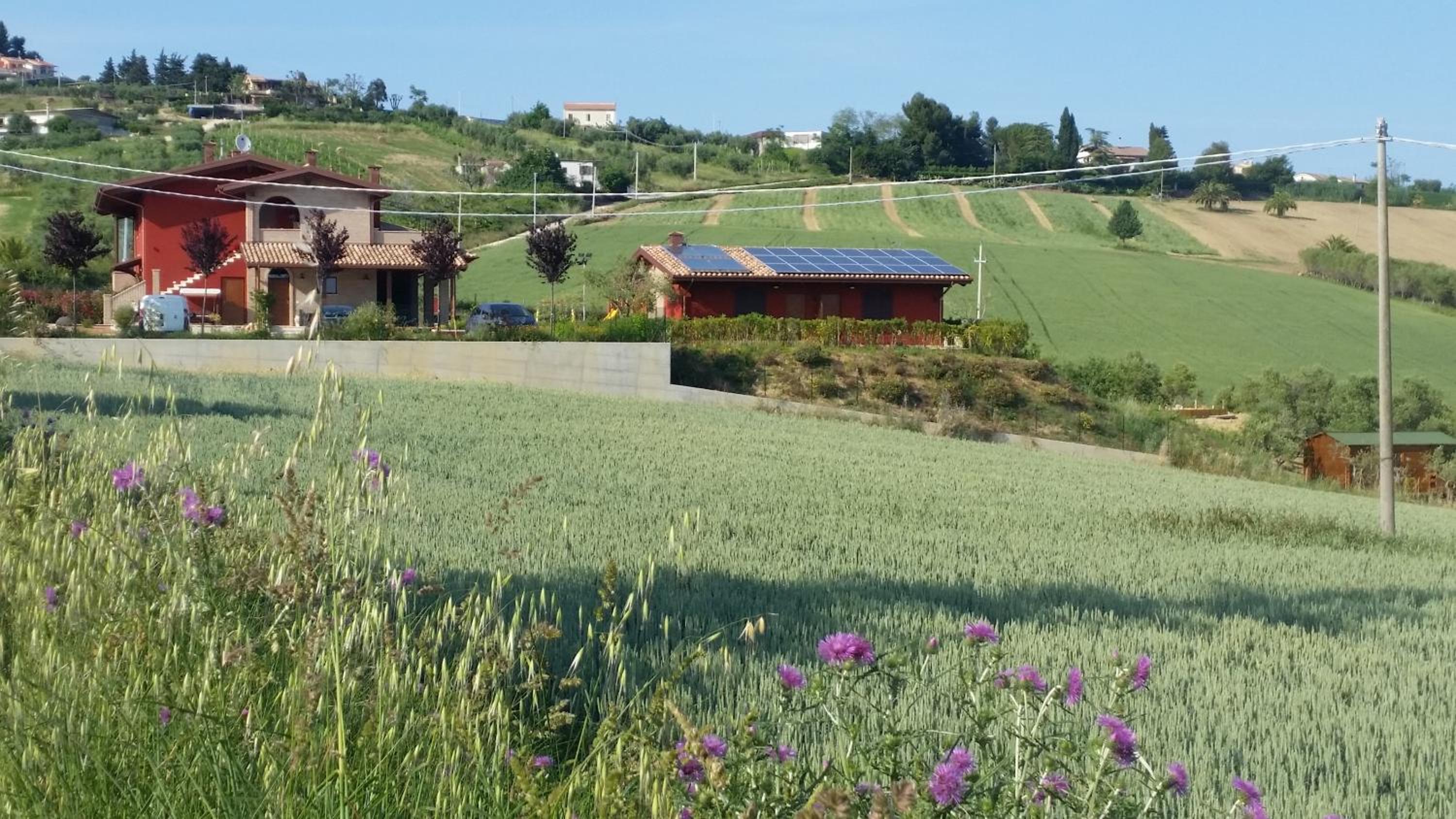 Photo 34