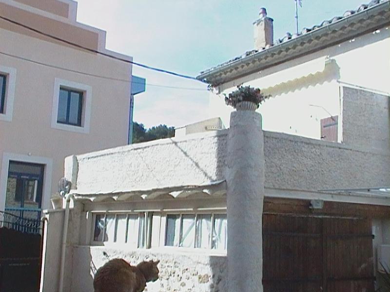 Photo 28