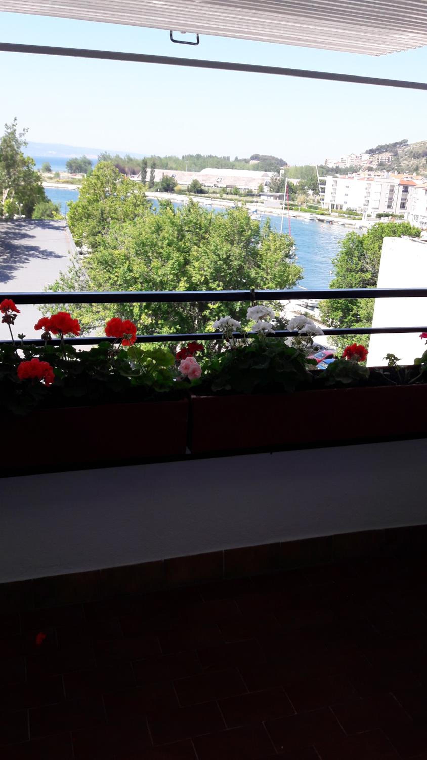 Domenica