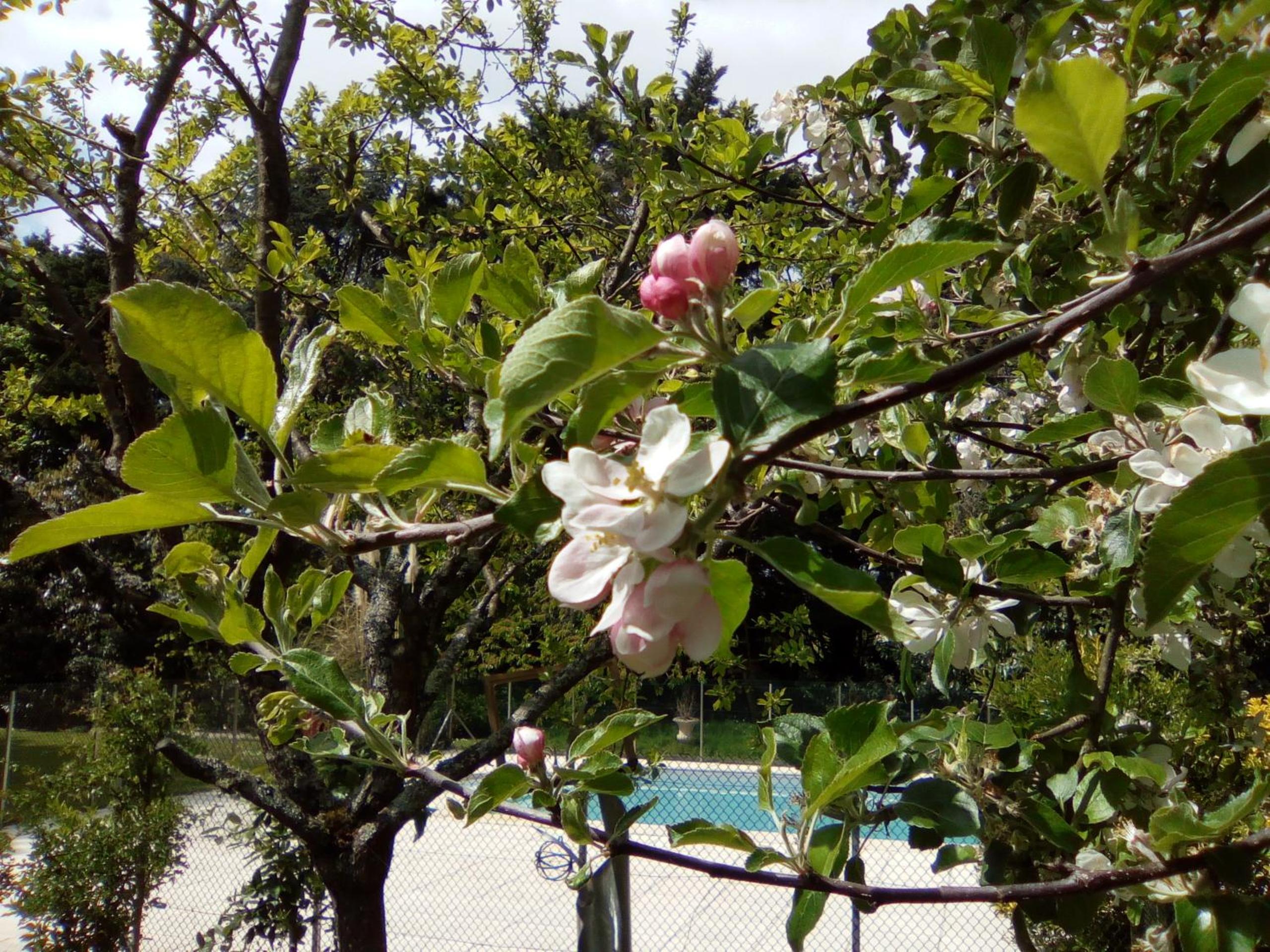 Photo 48